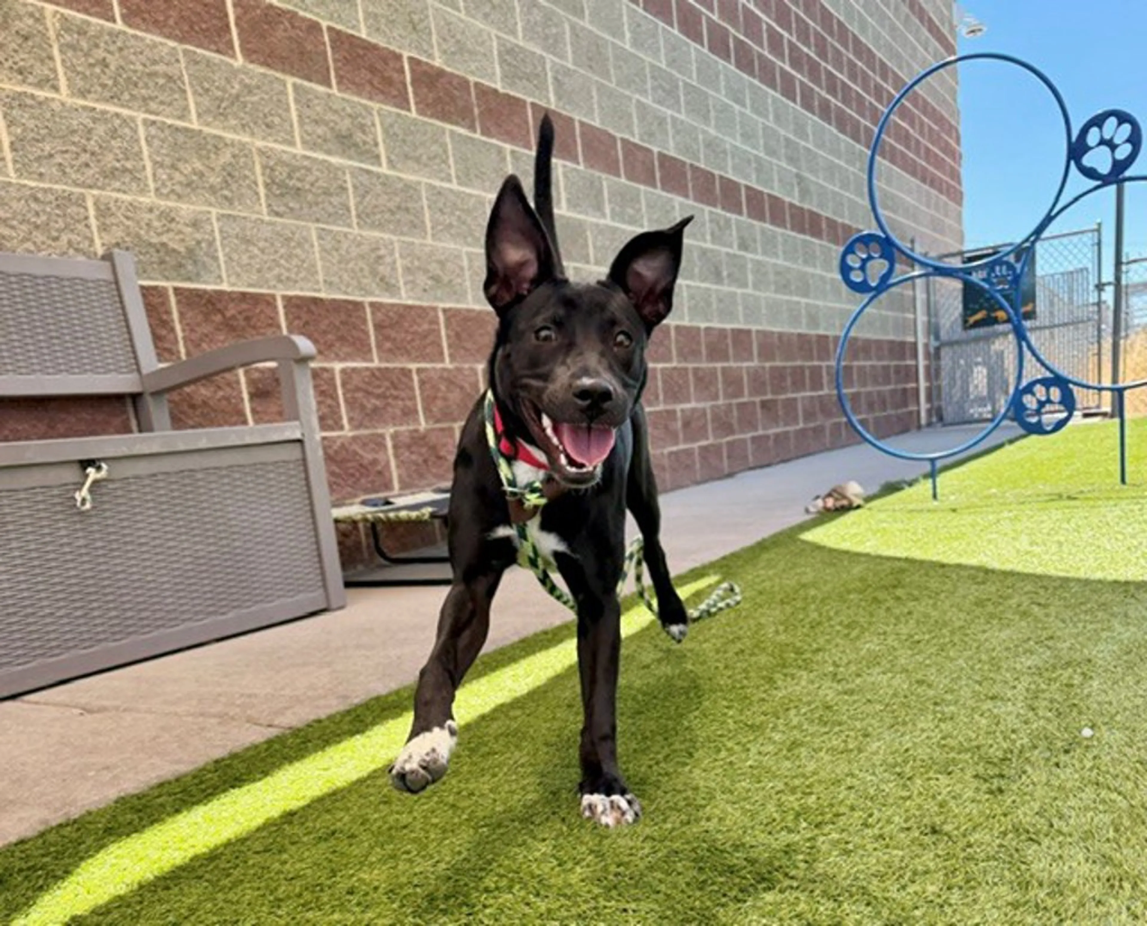 -1