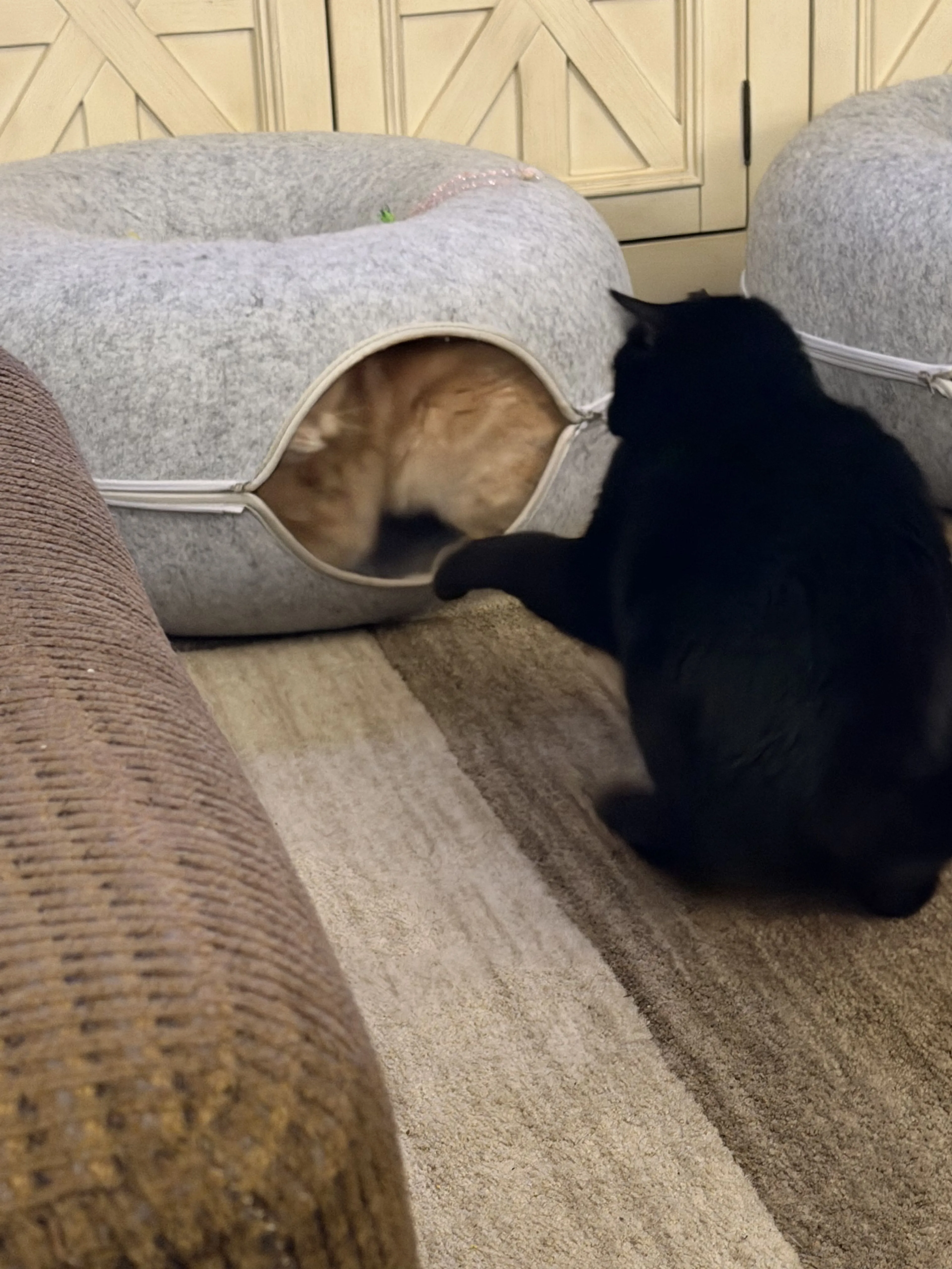 -1