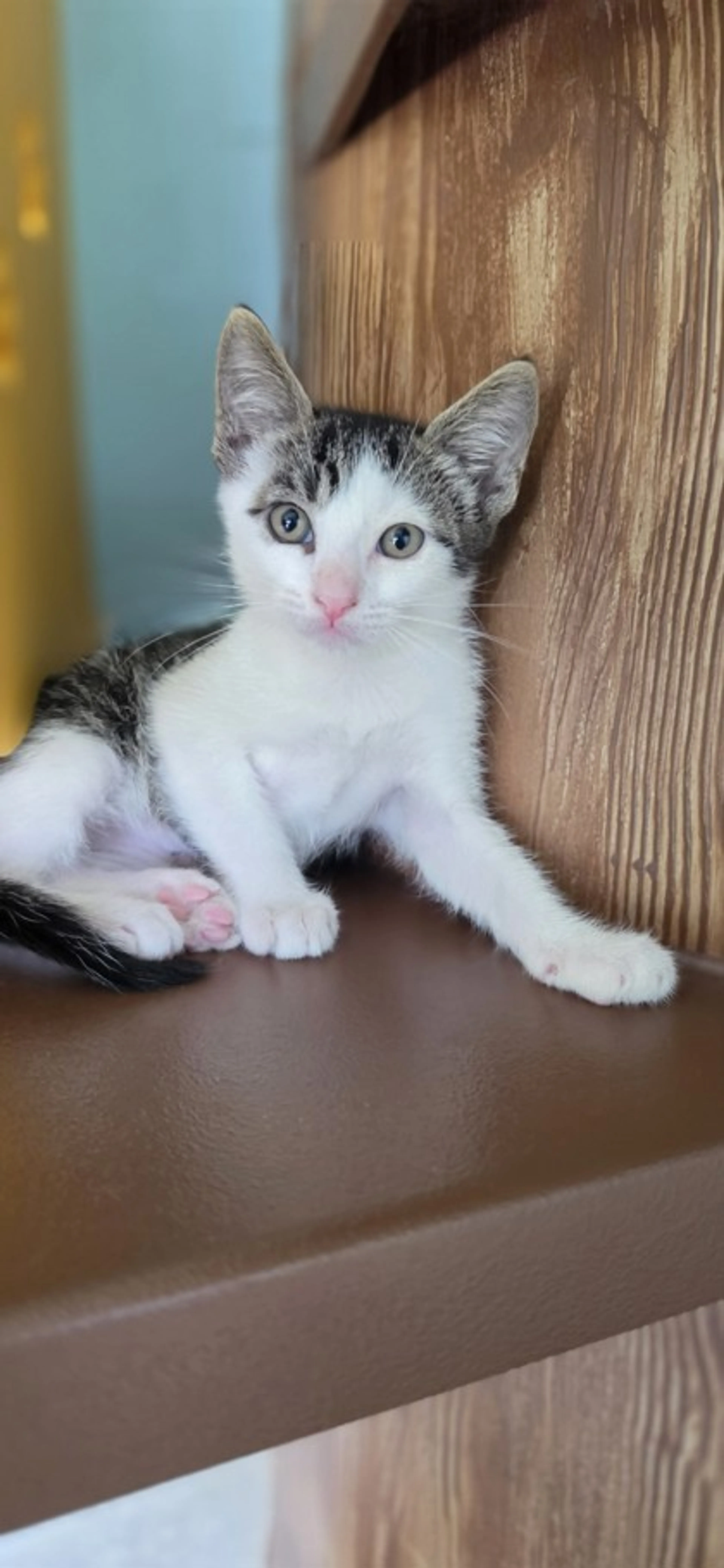 -0