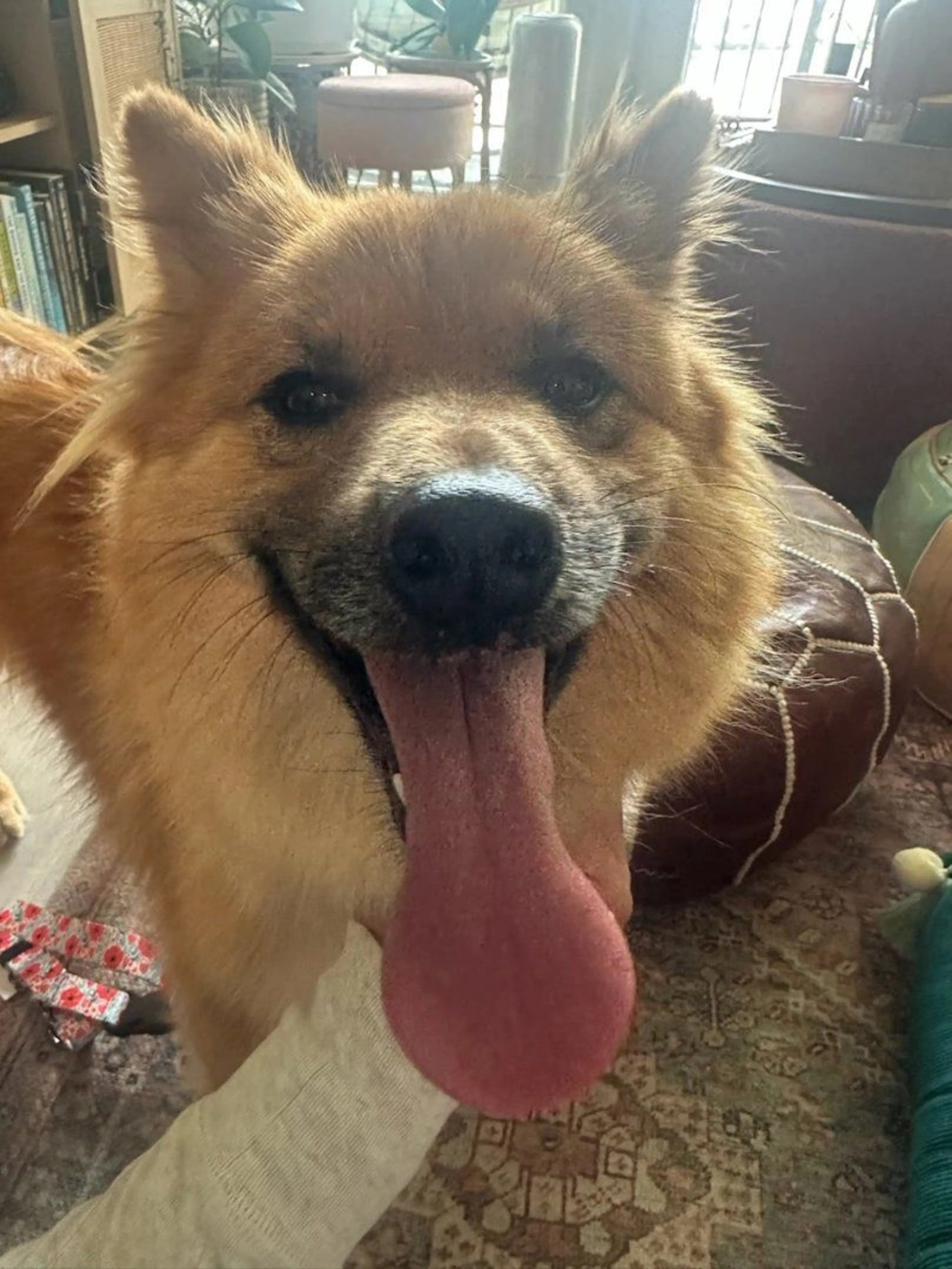 -0