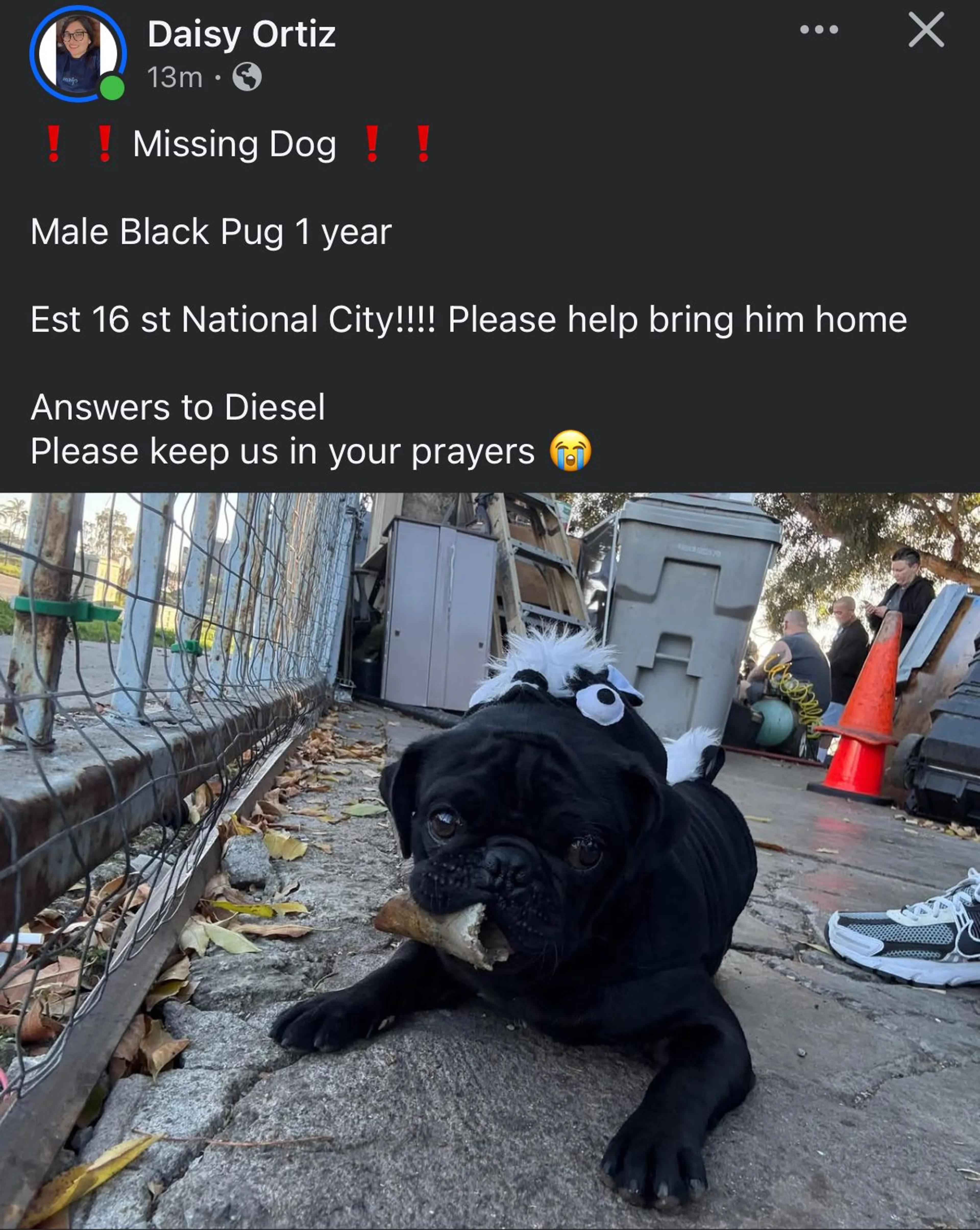 cdn image