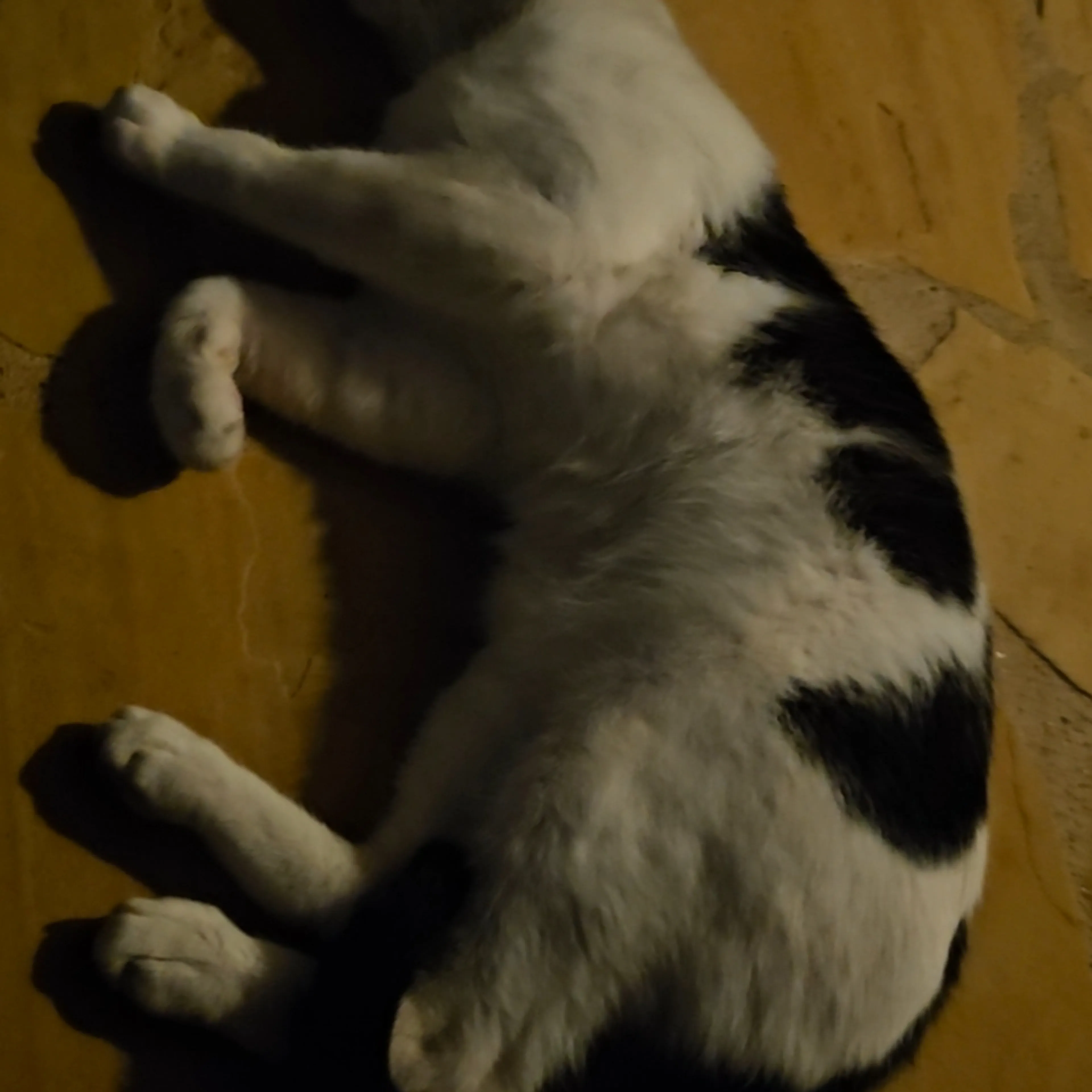 -3