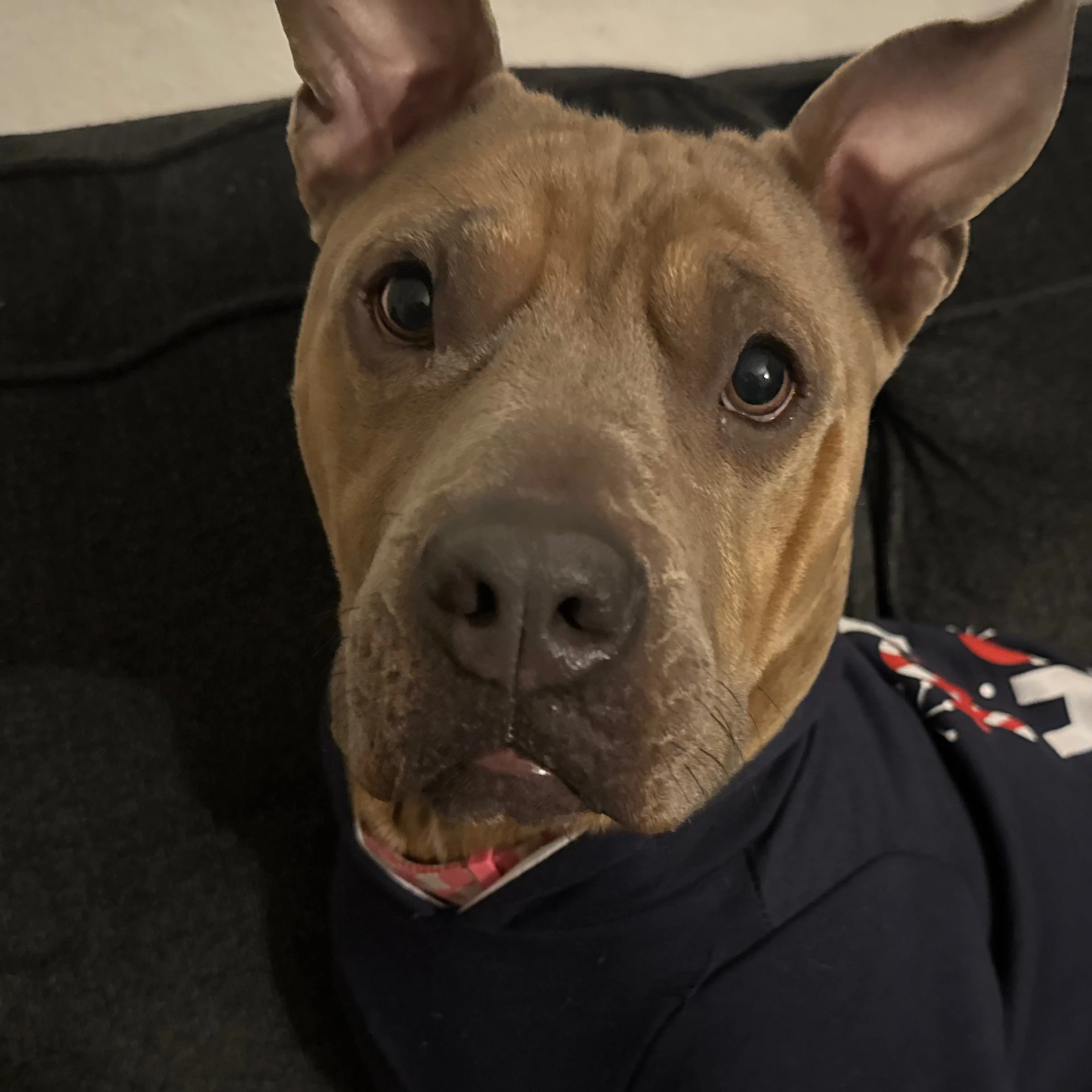-1