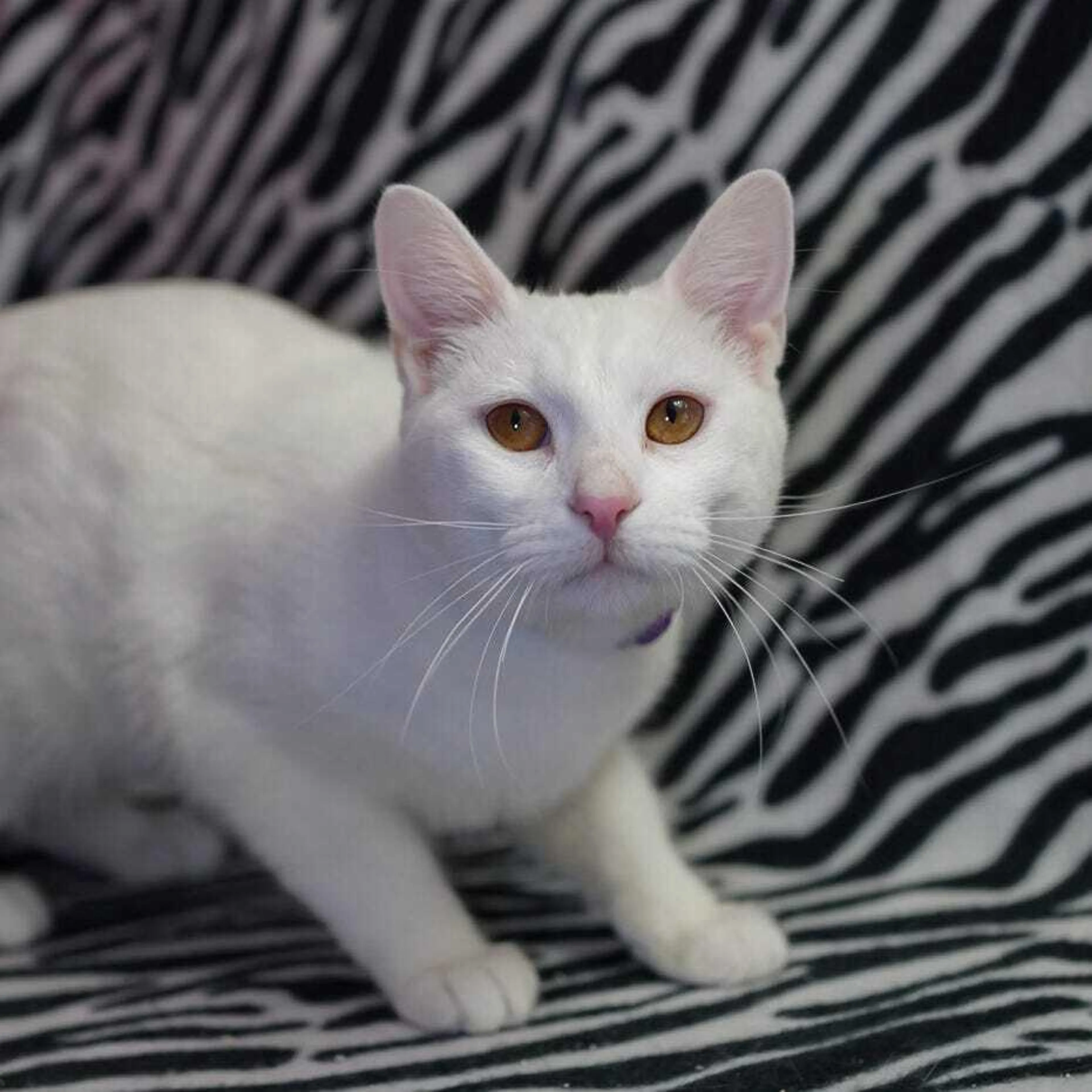 -0