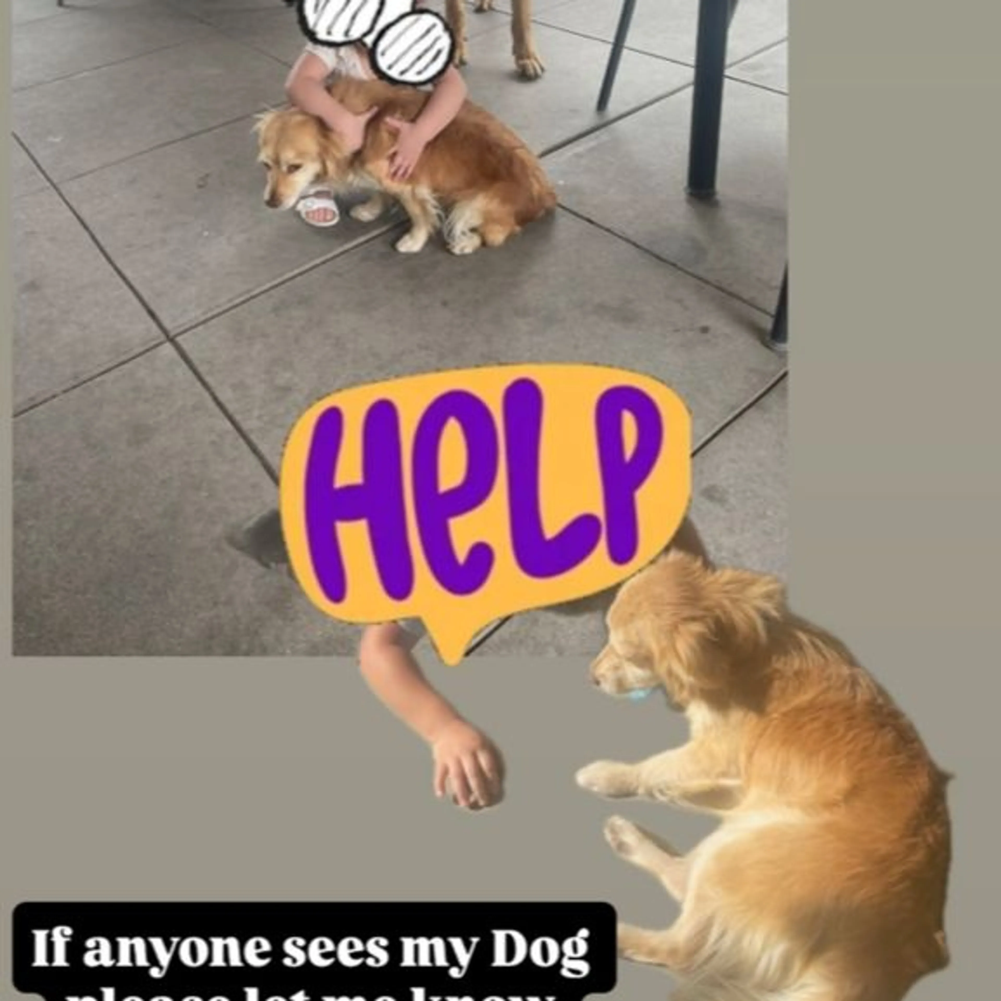 cdn image