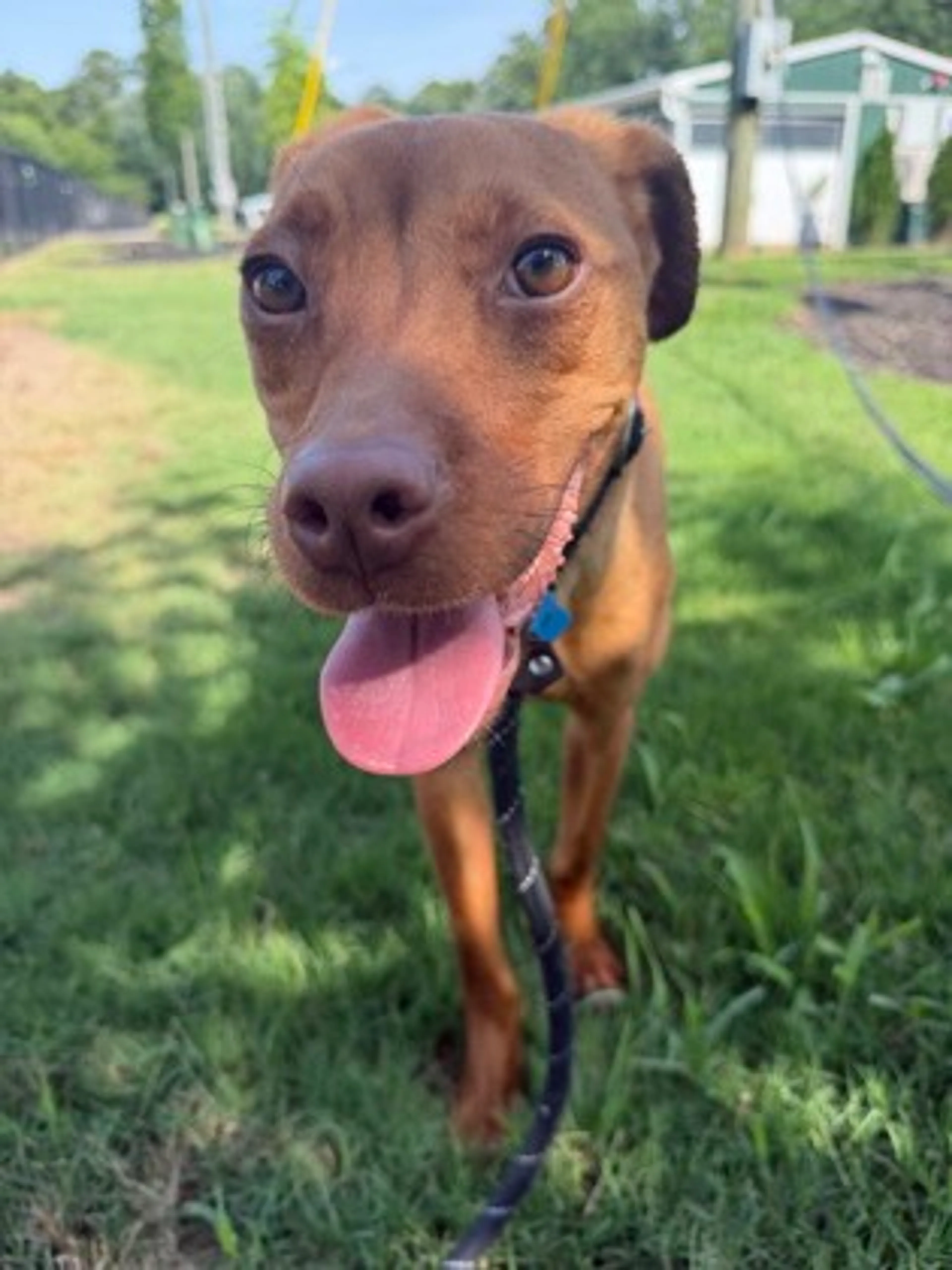 -0