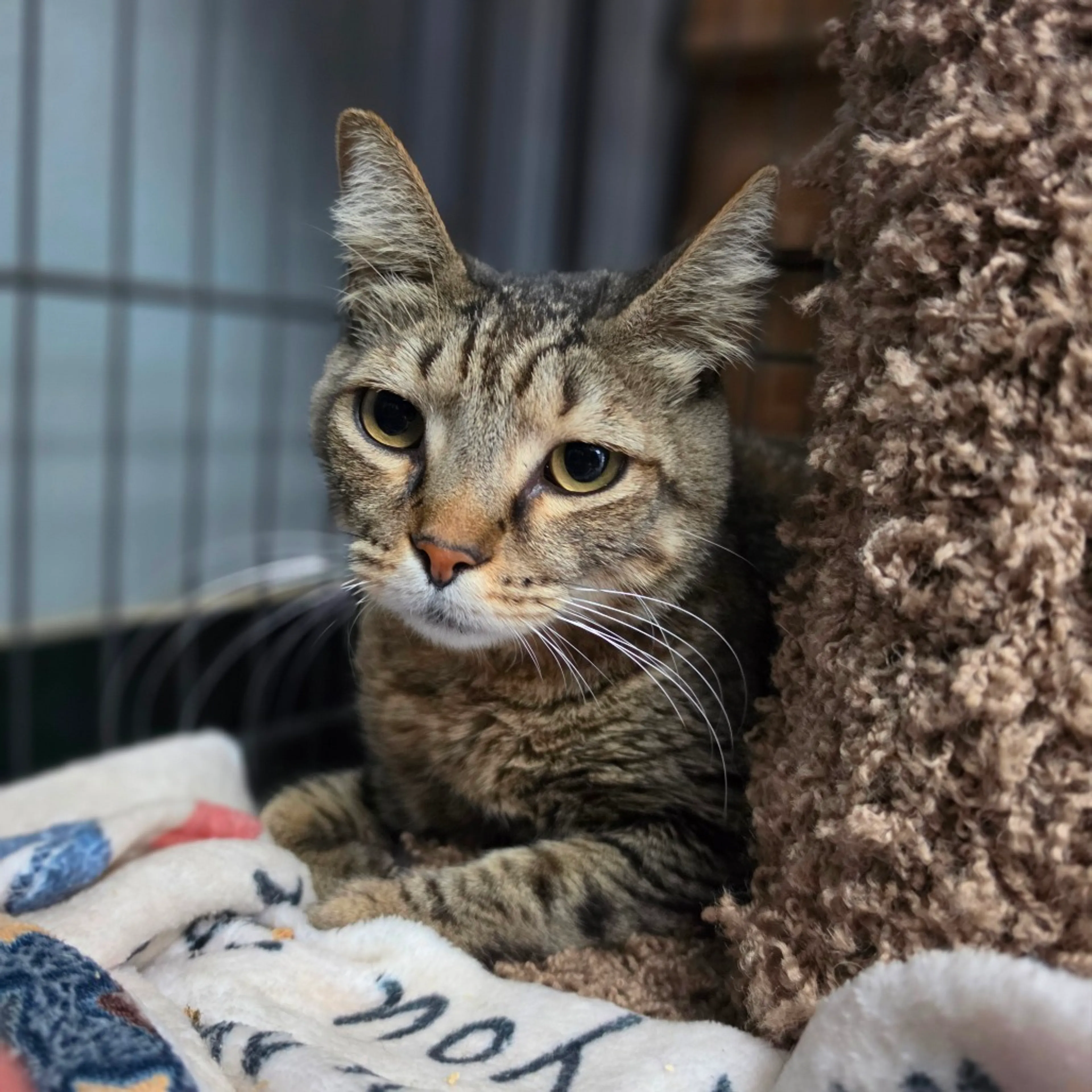 -1