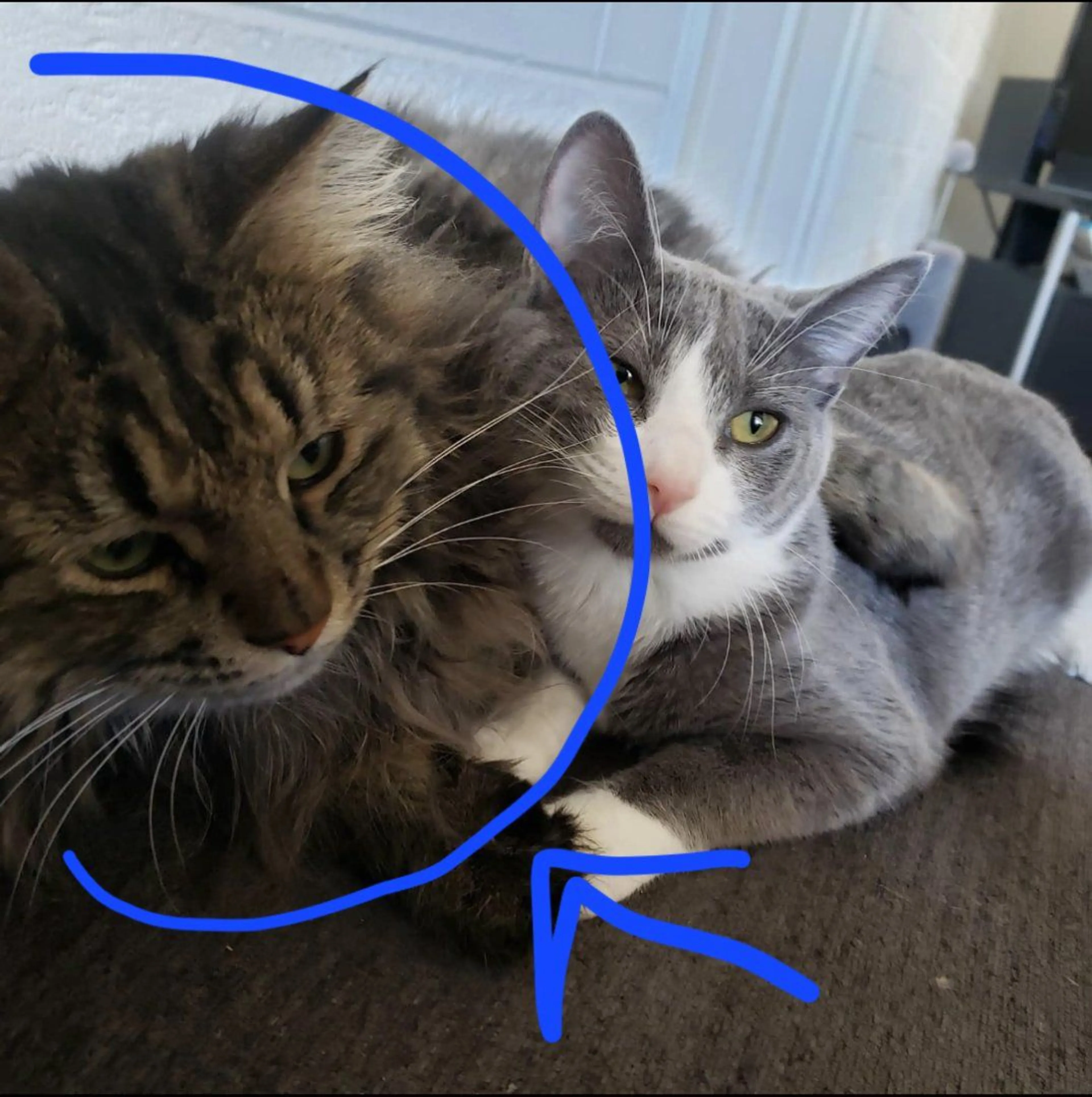 -2