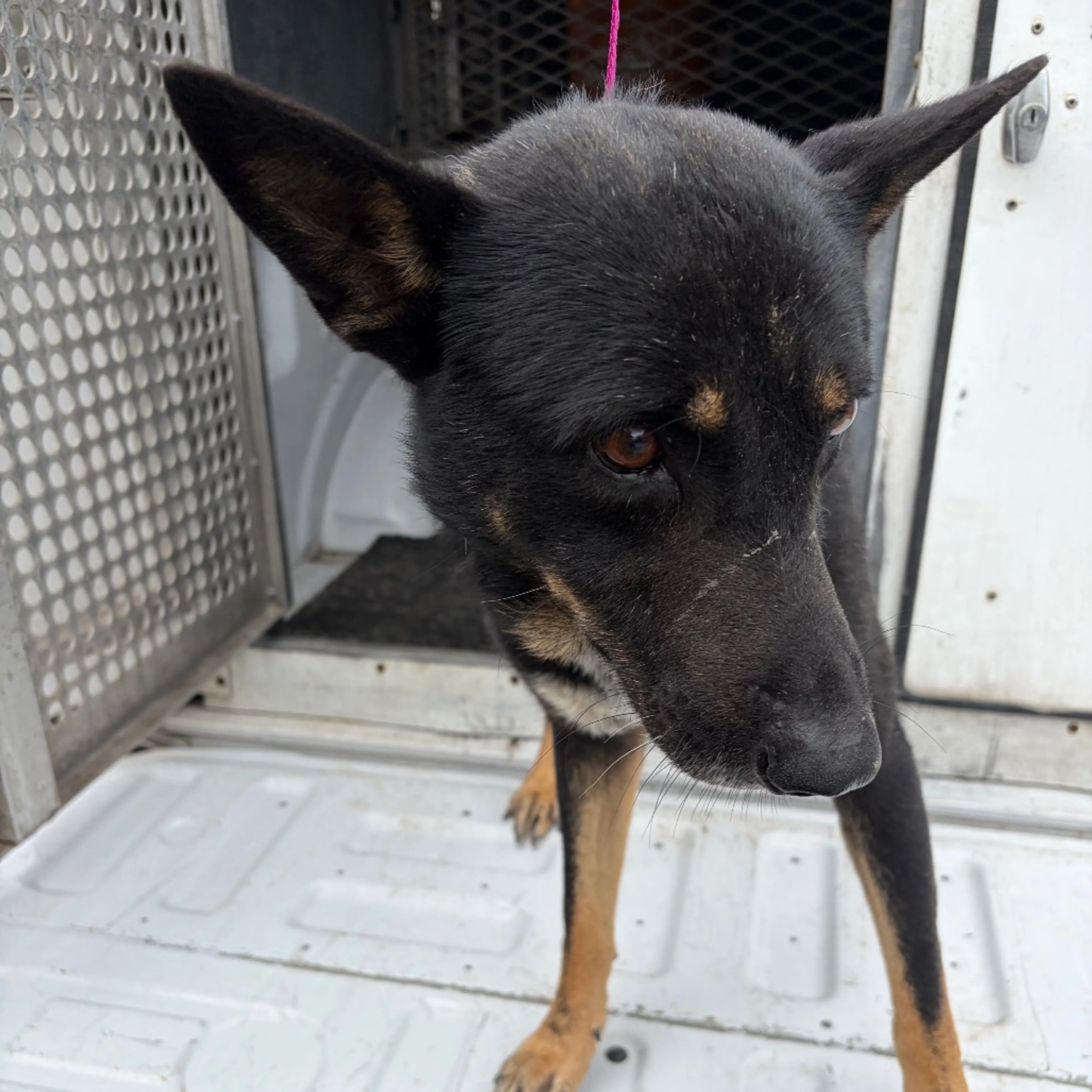 -1