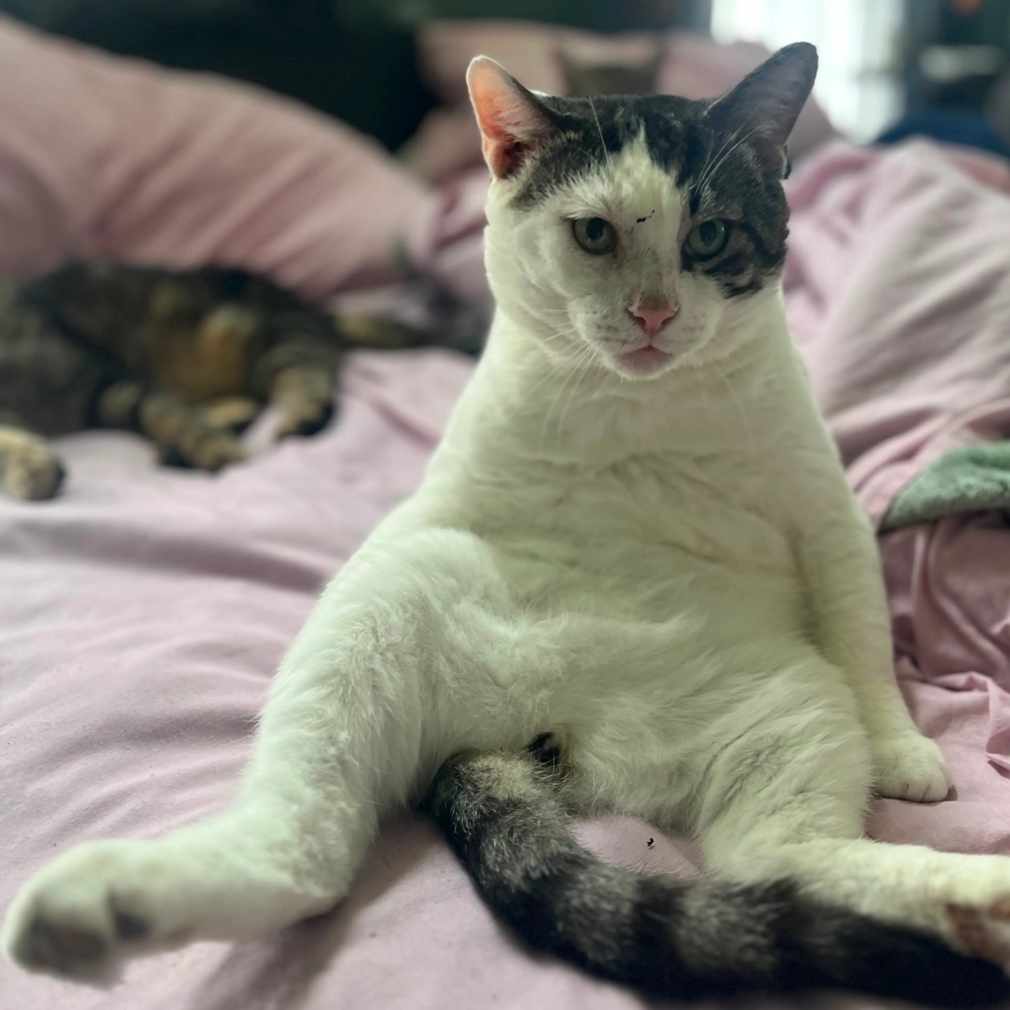 -2