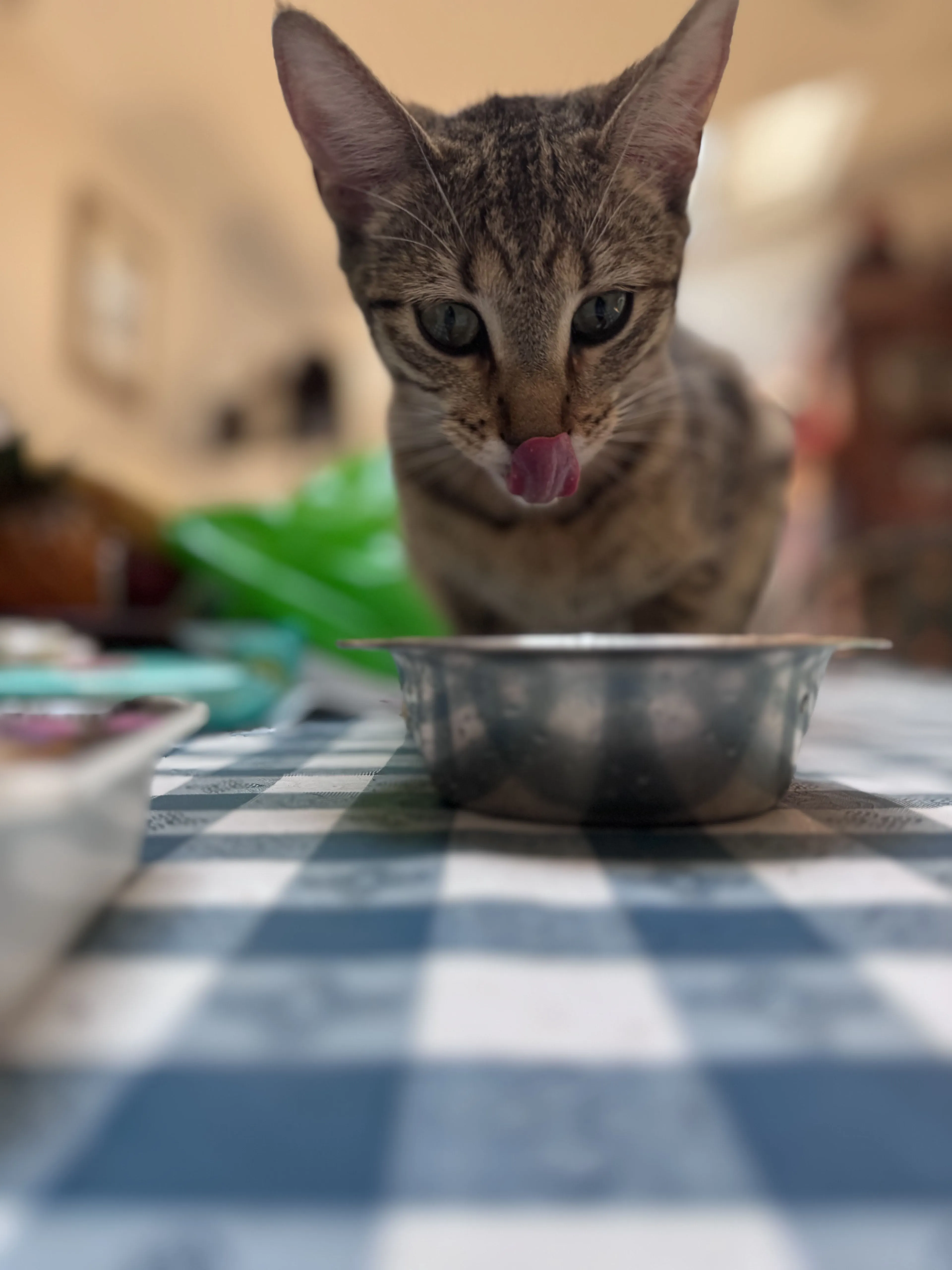 -3