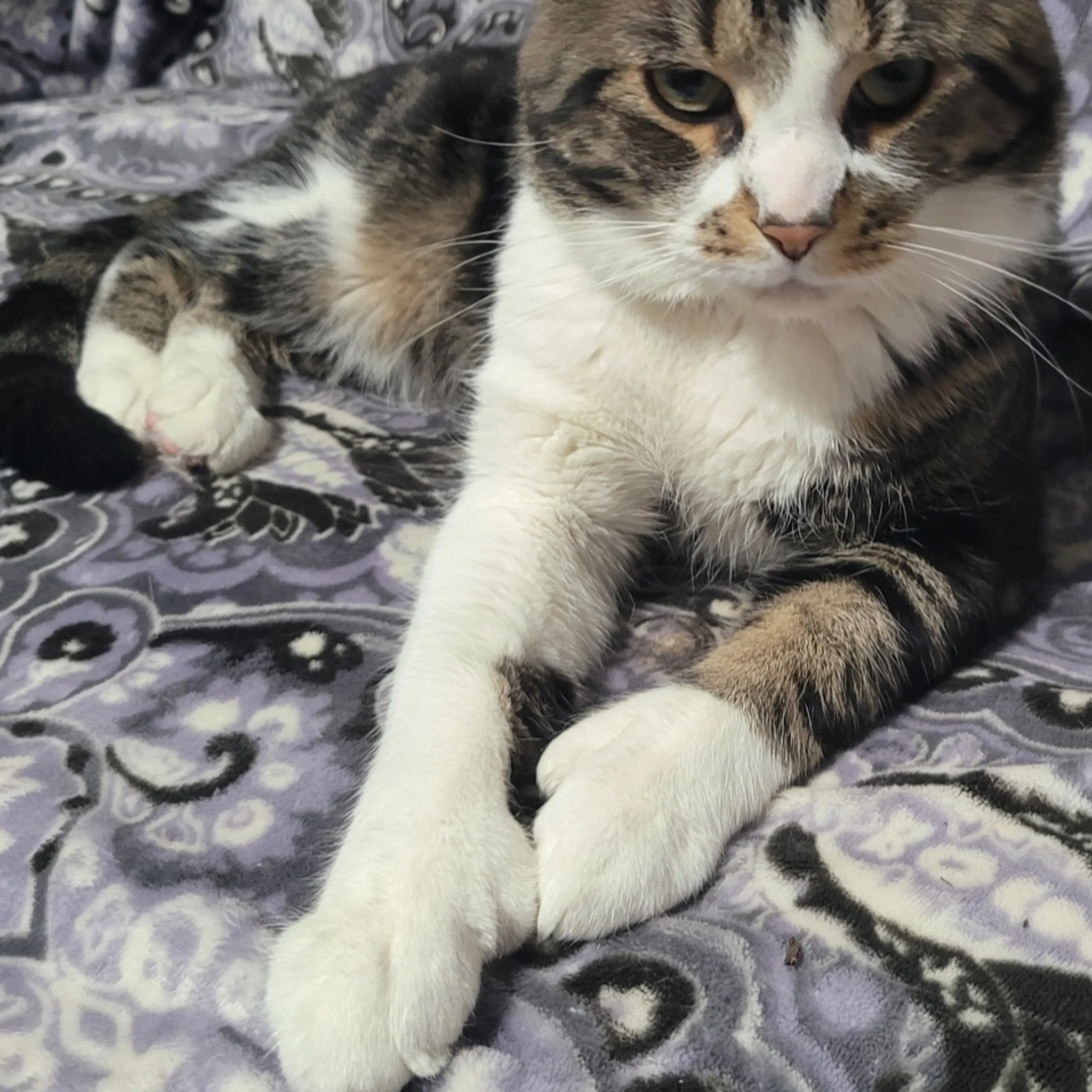-3