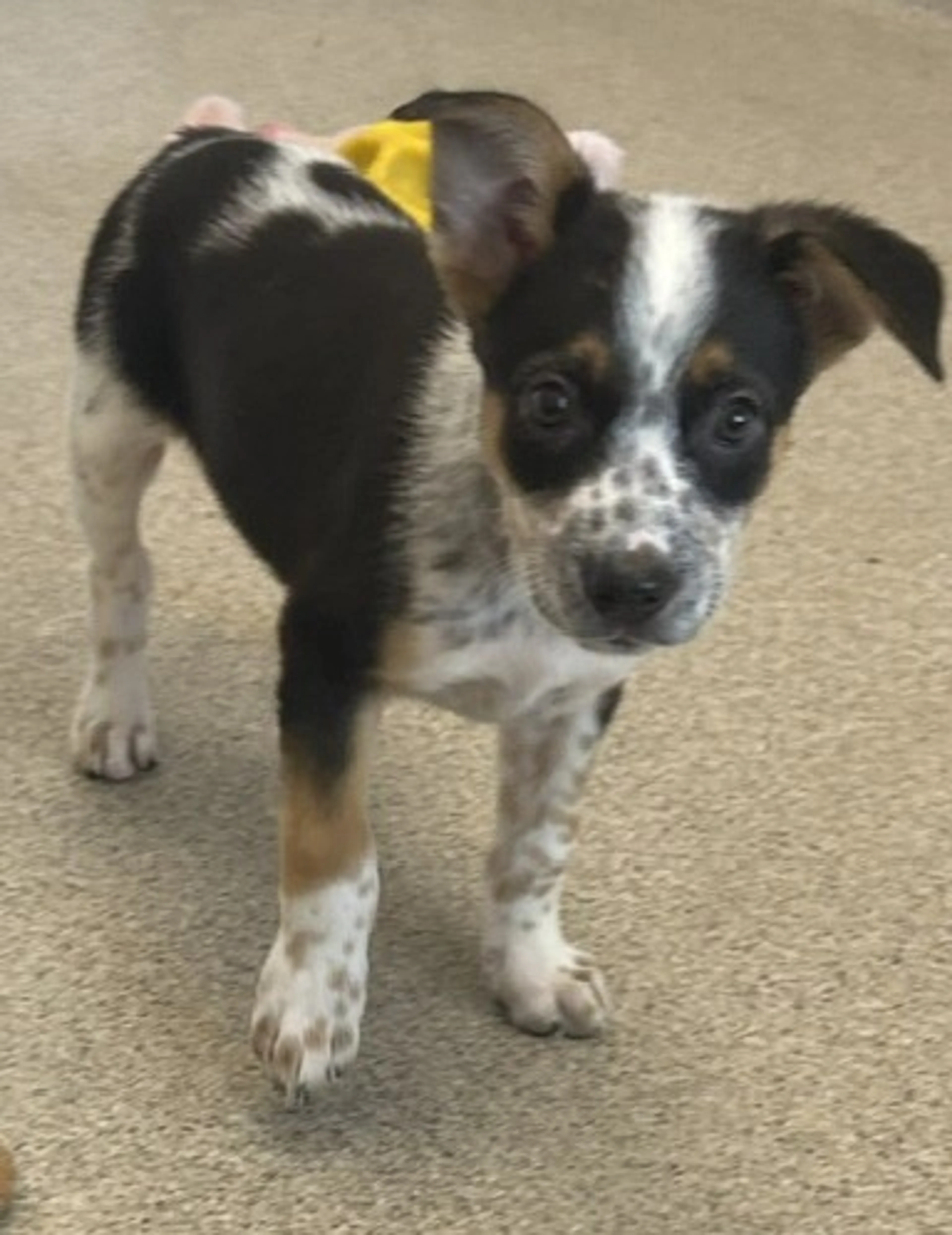 -0