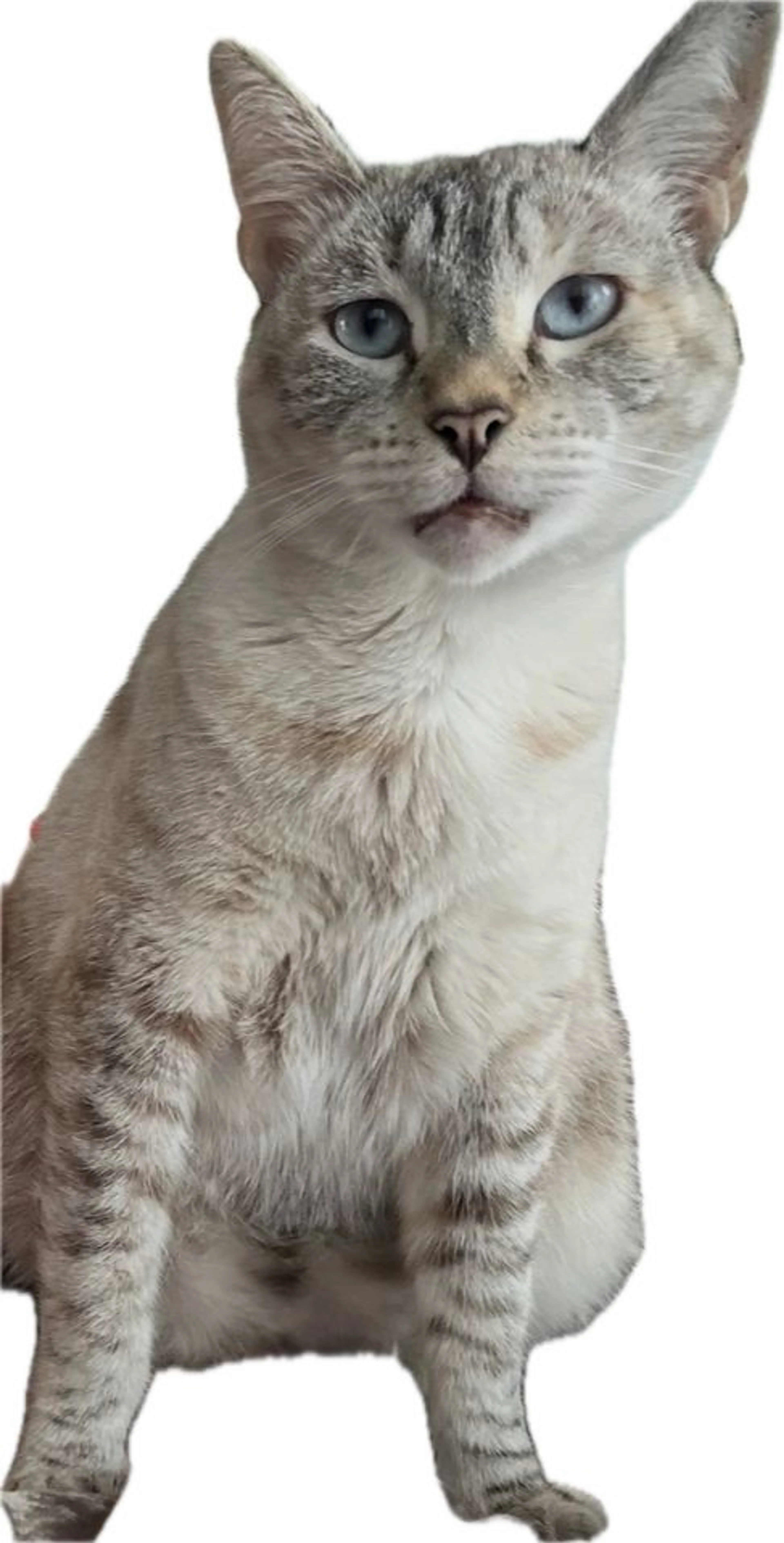 -0