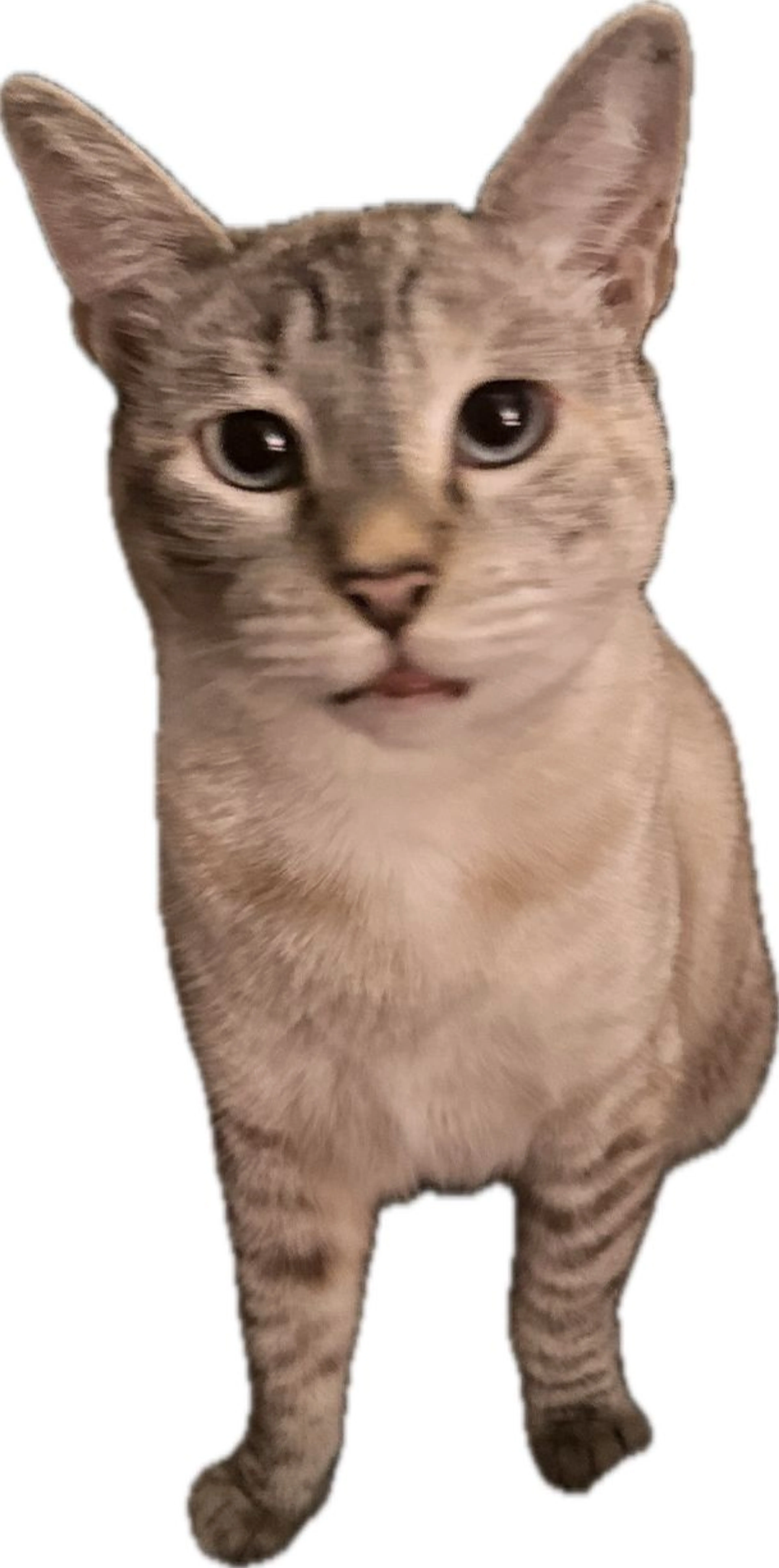 -3