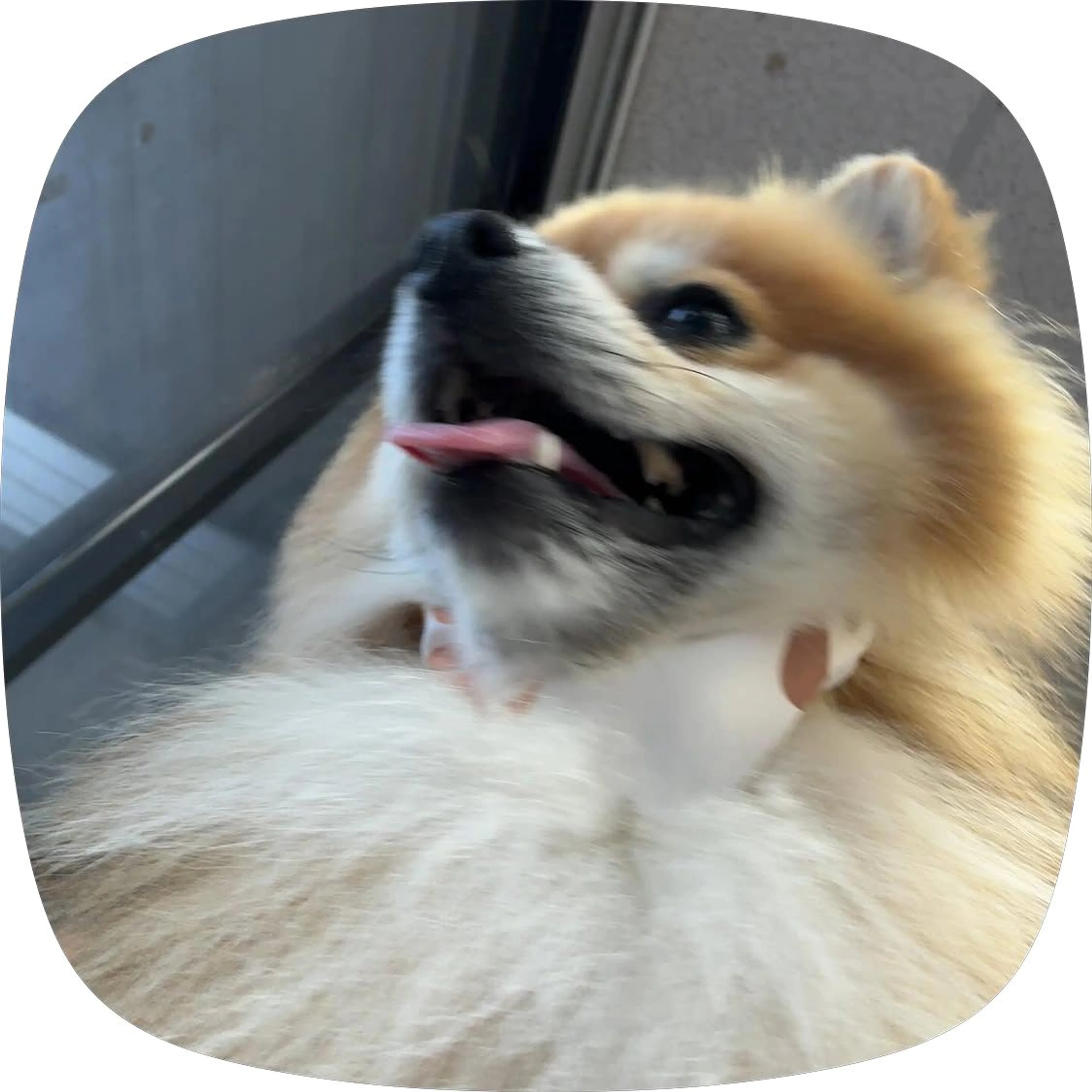 cdn image