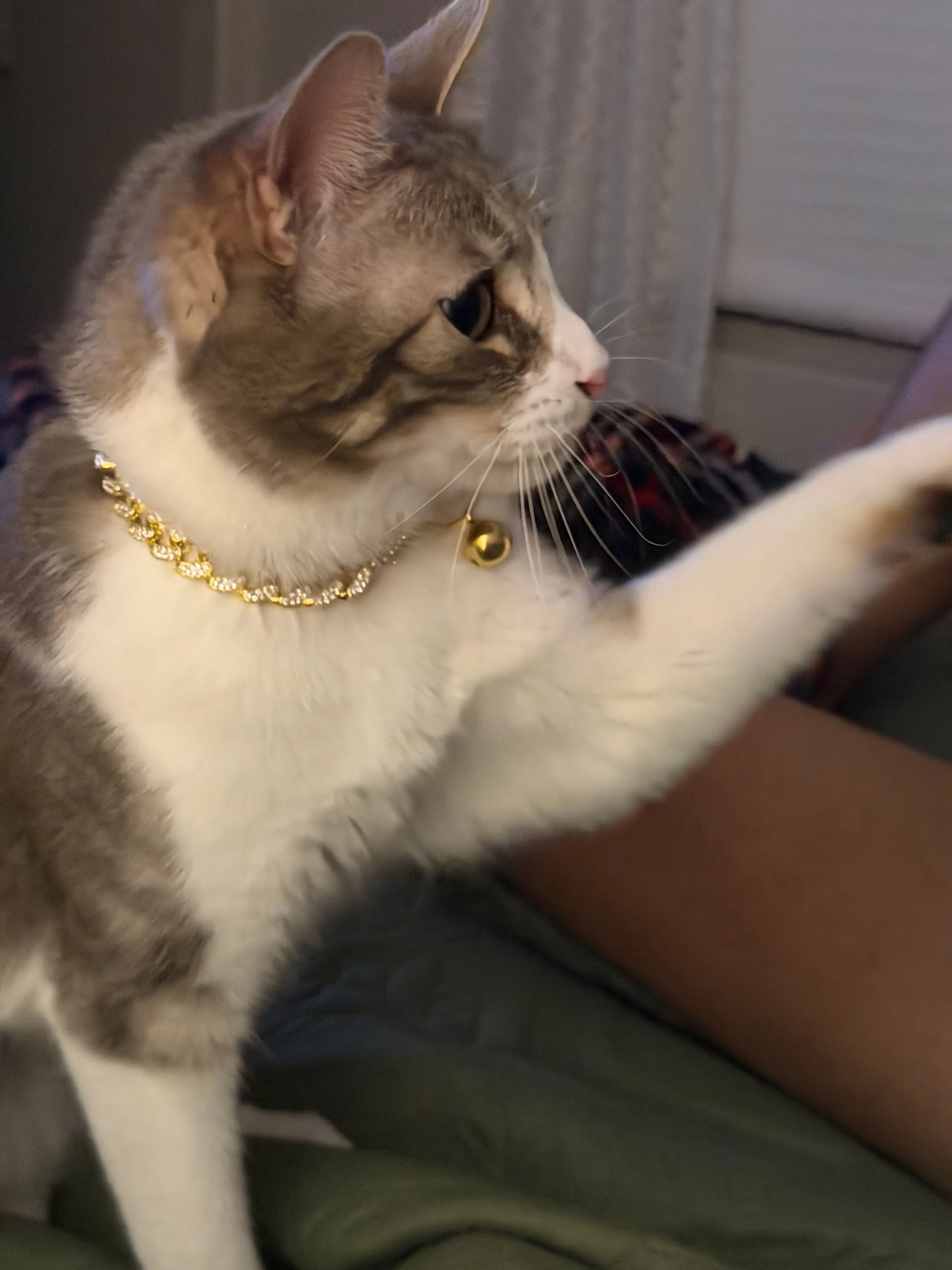 -1
