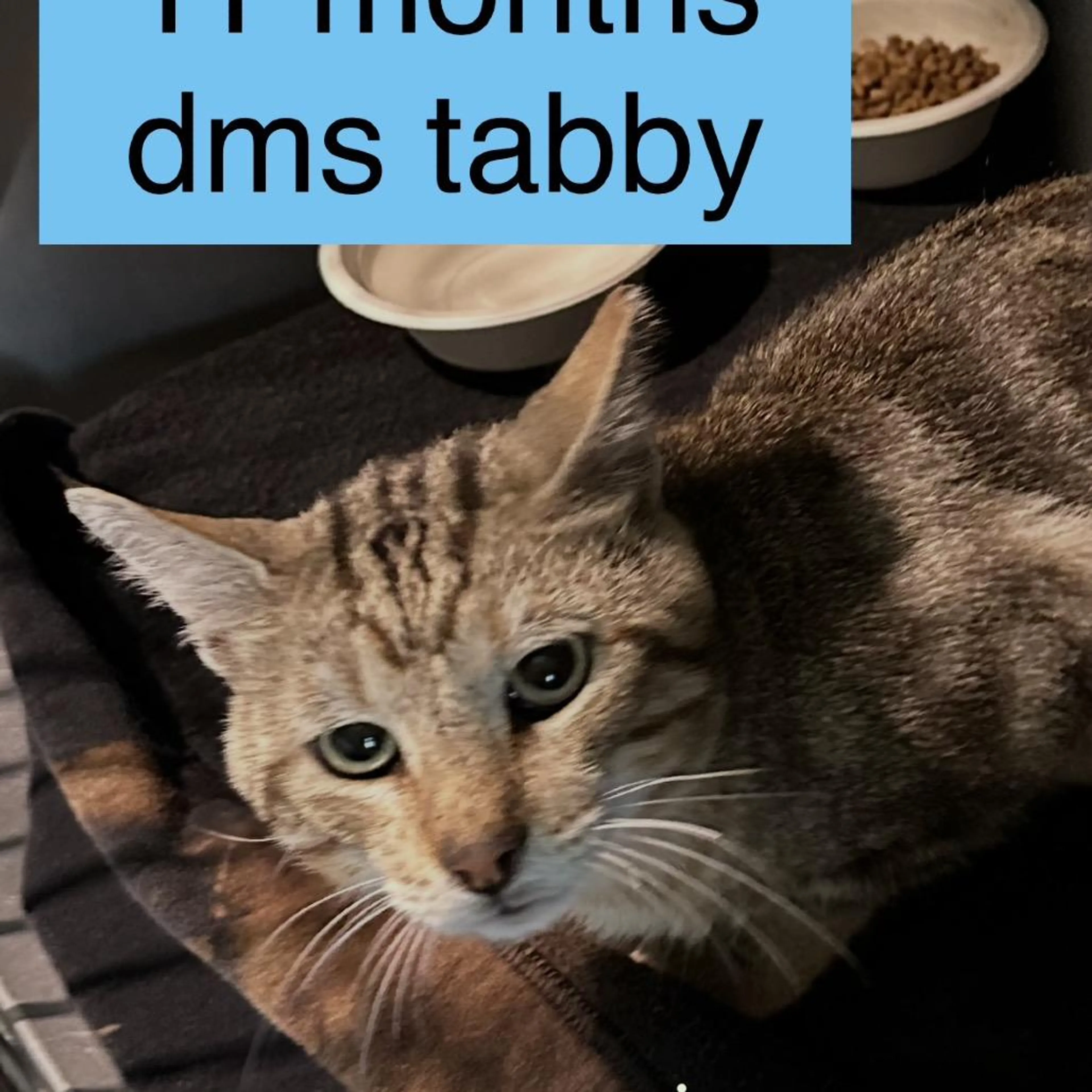 -0