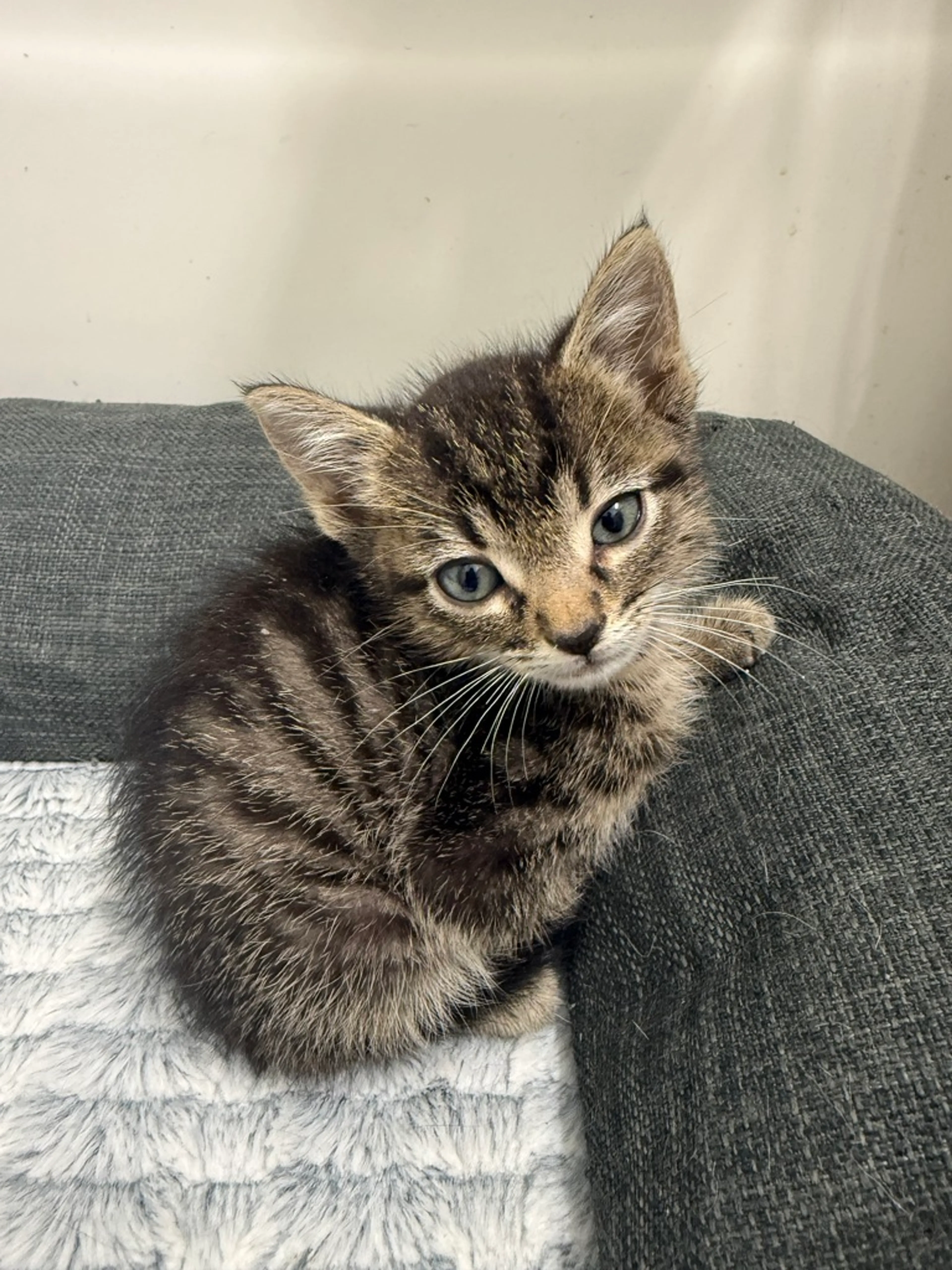 -7