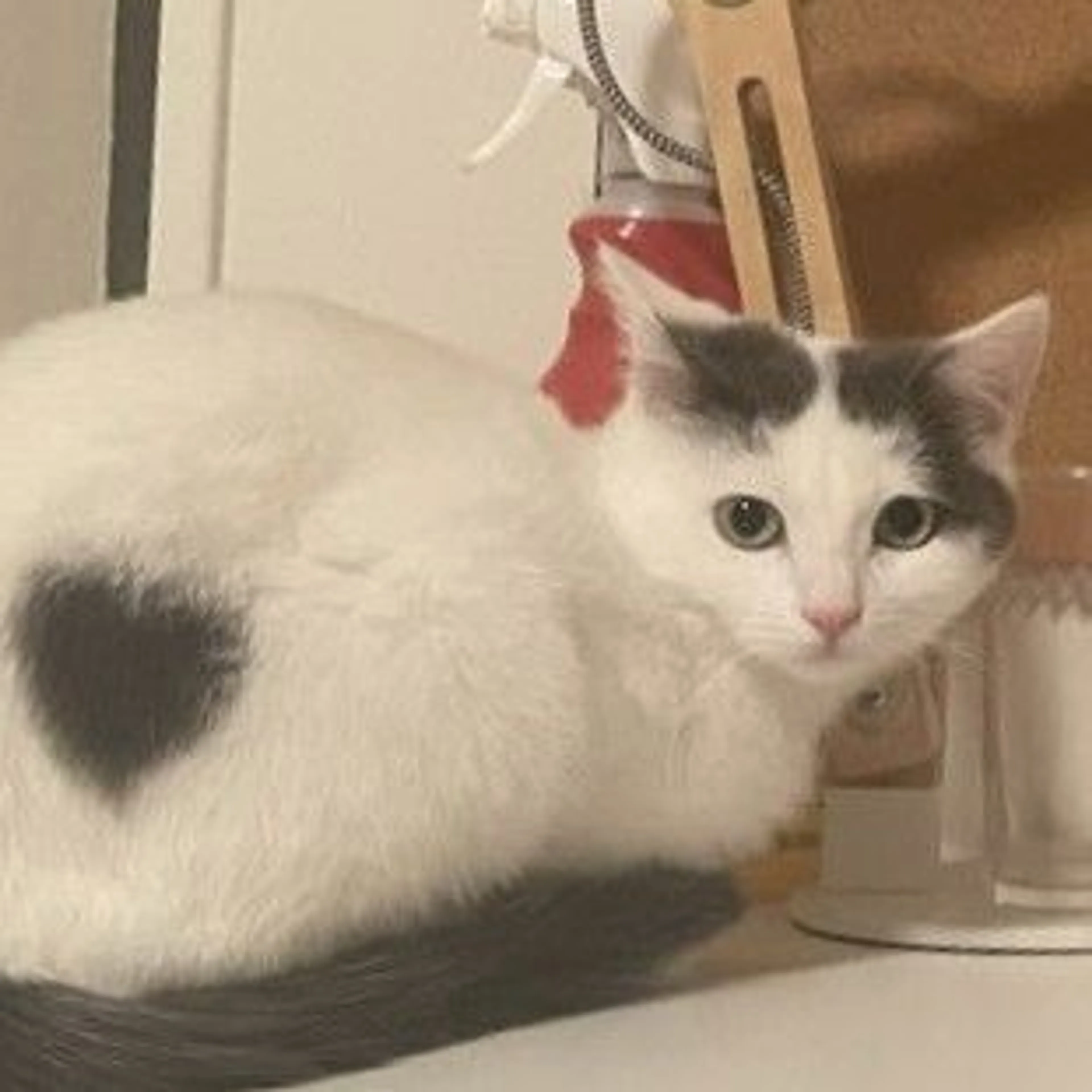 -1