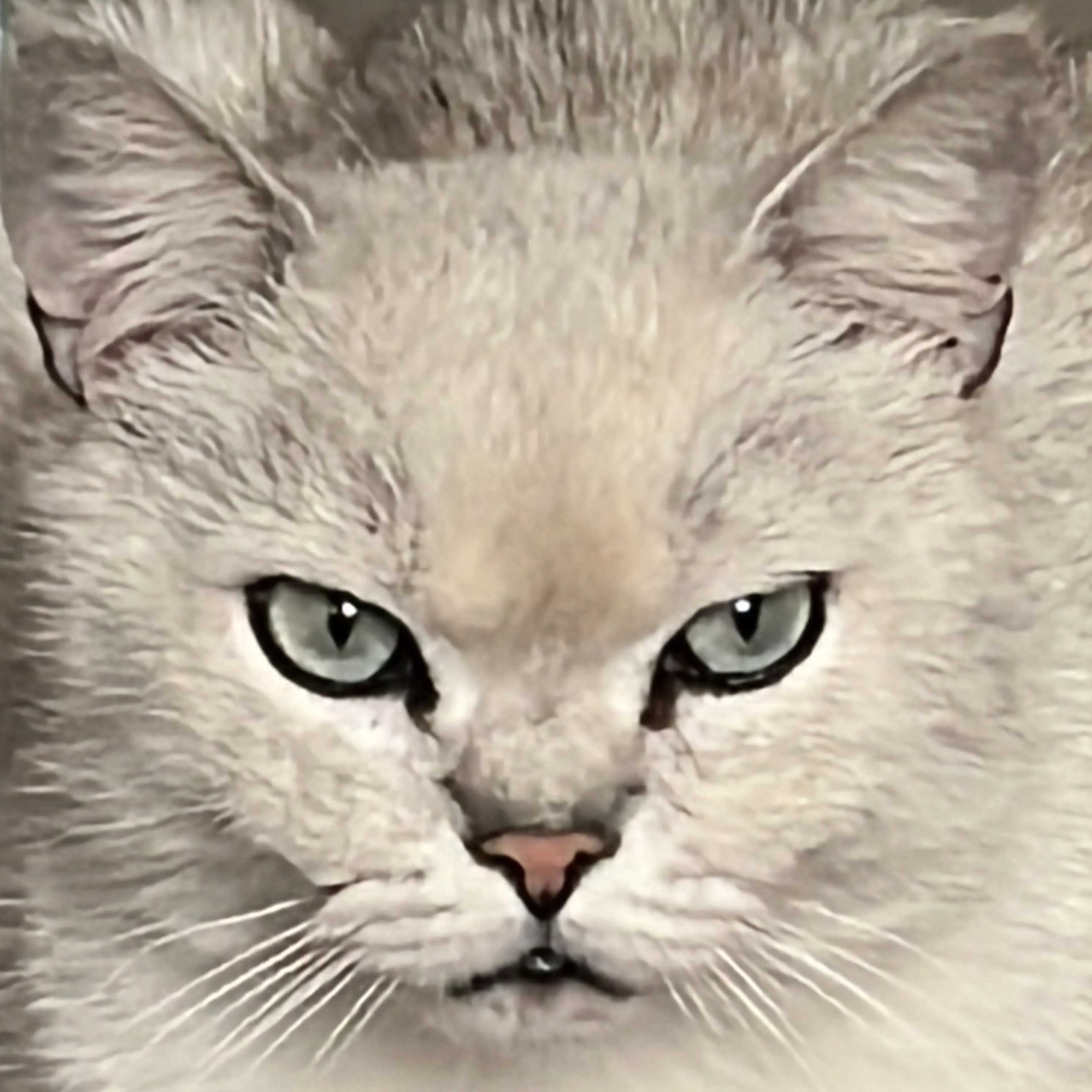 -2