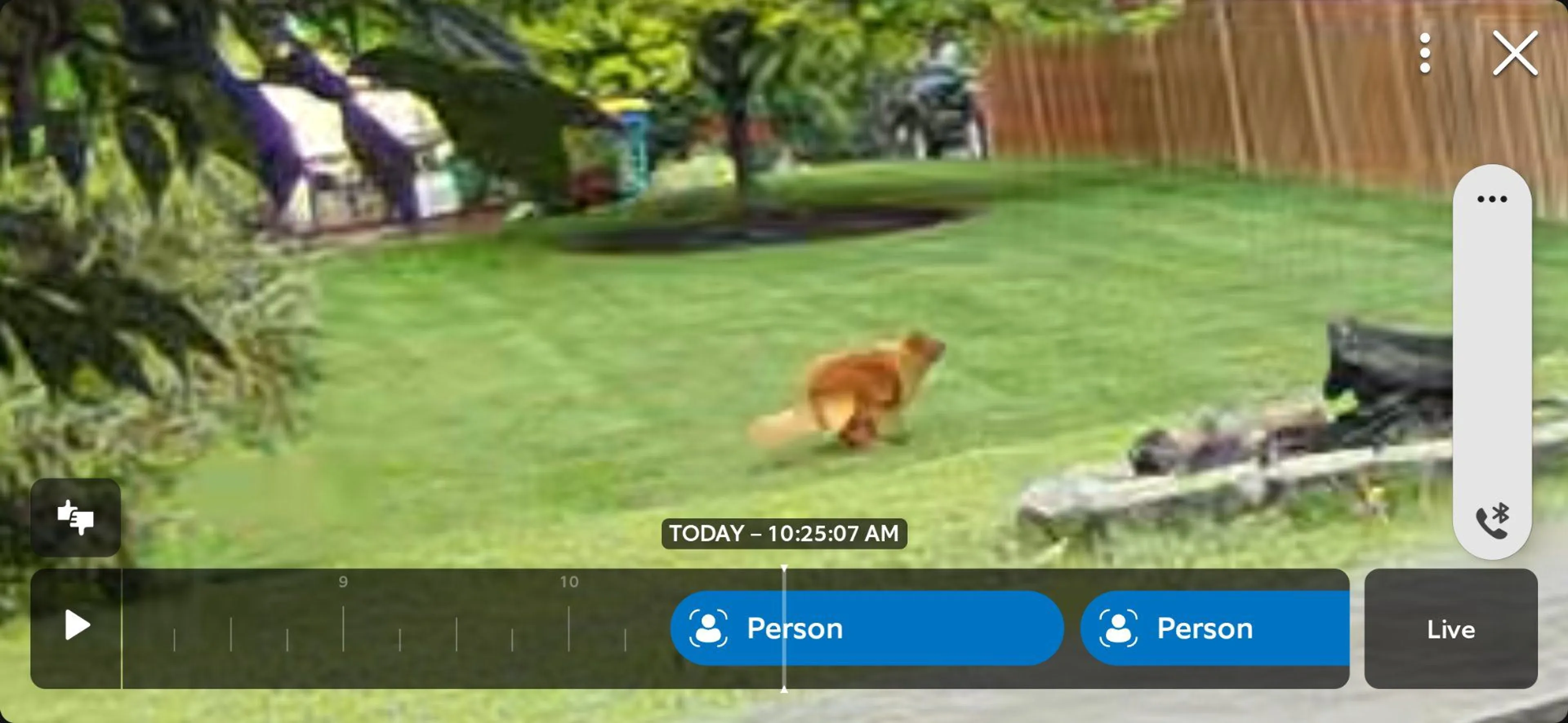 cdn image