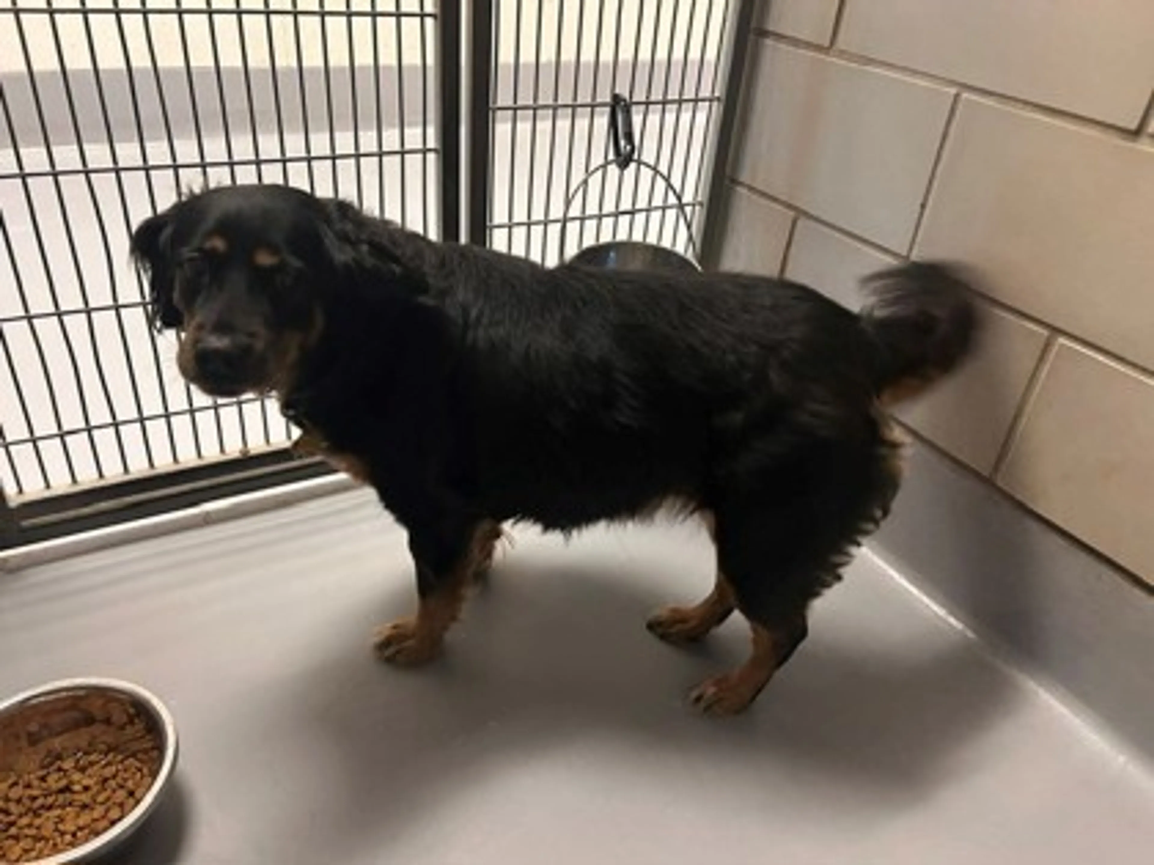 -0