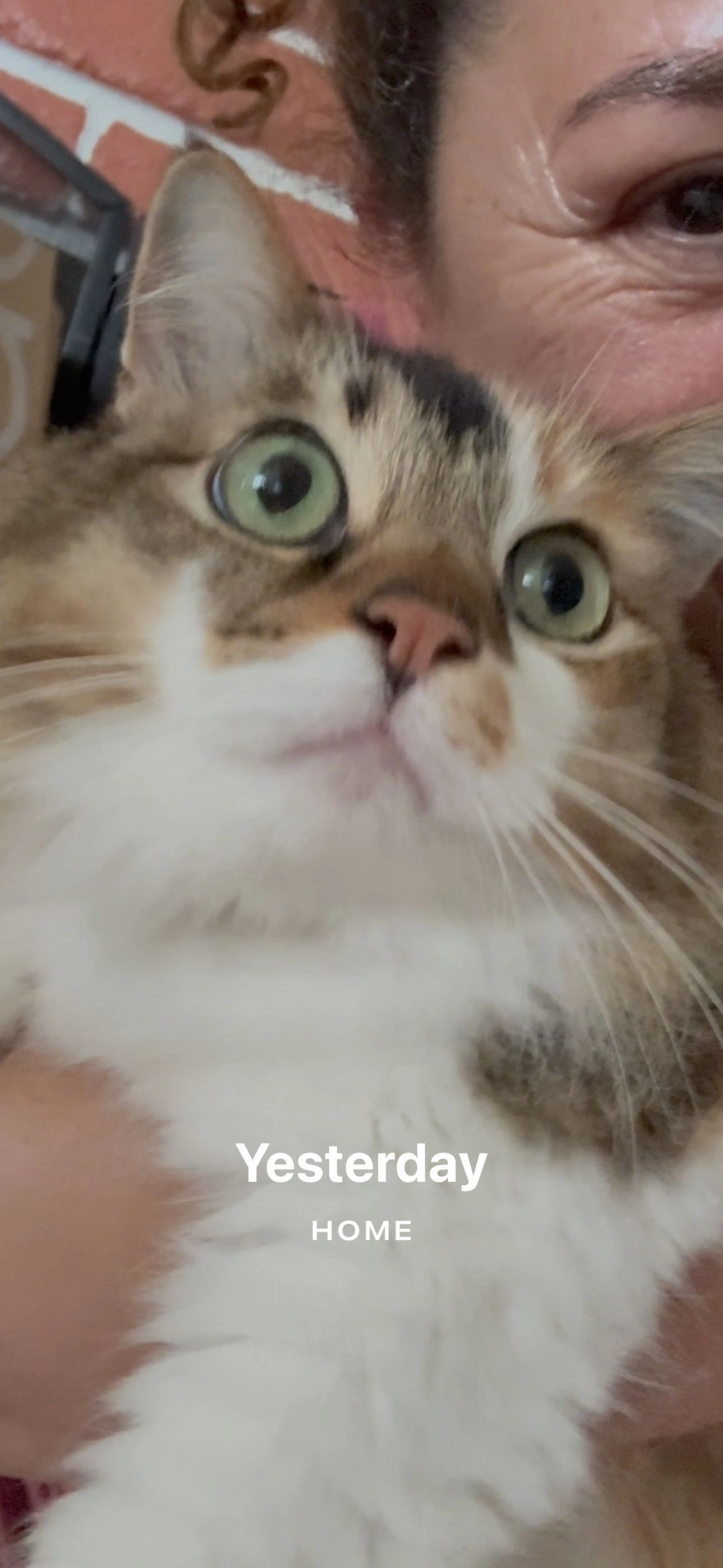 -3