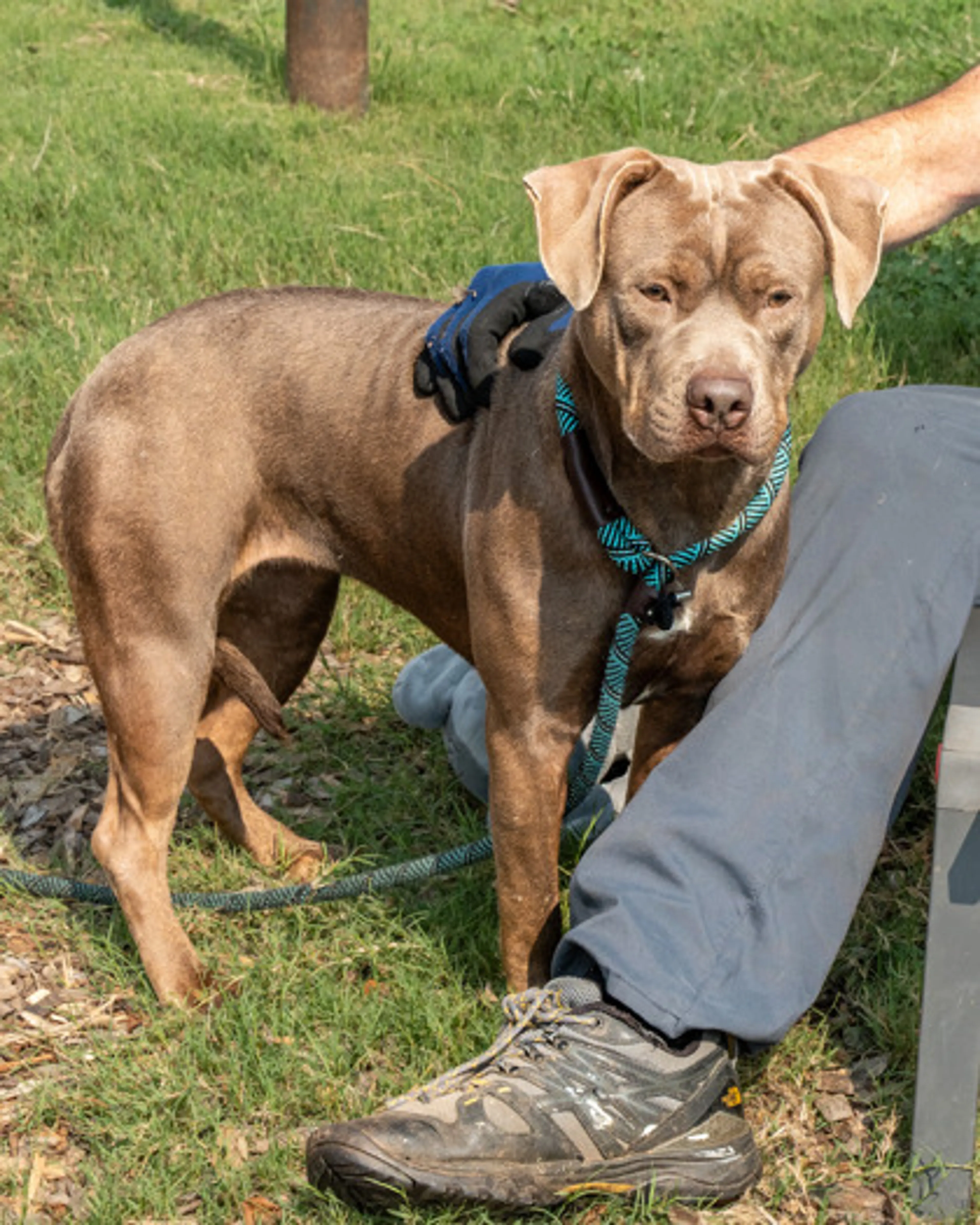 -2