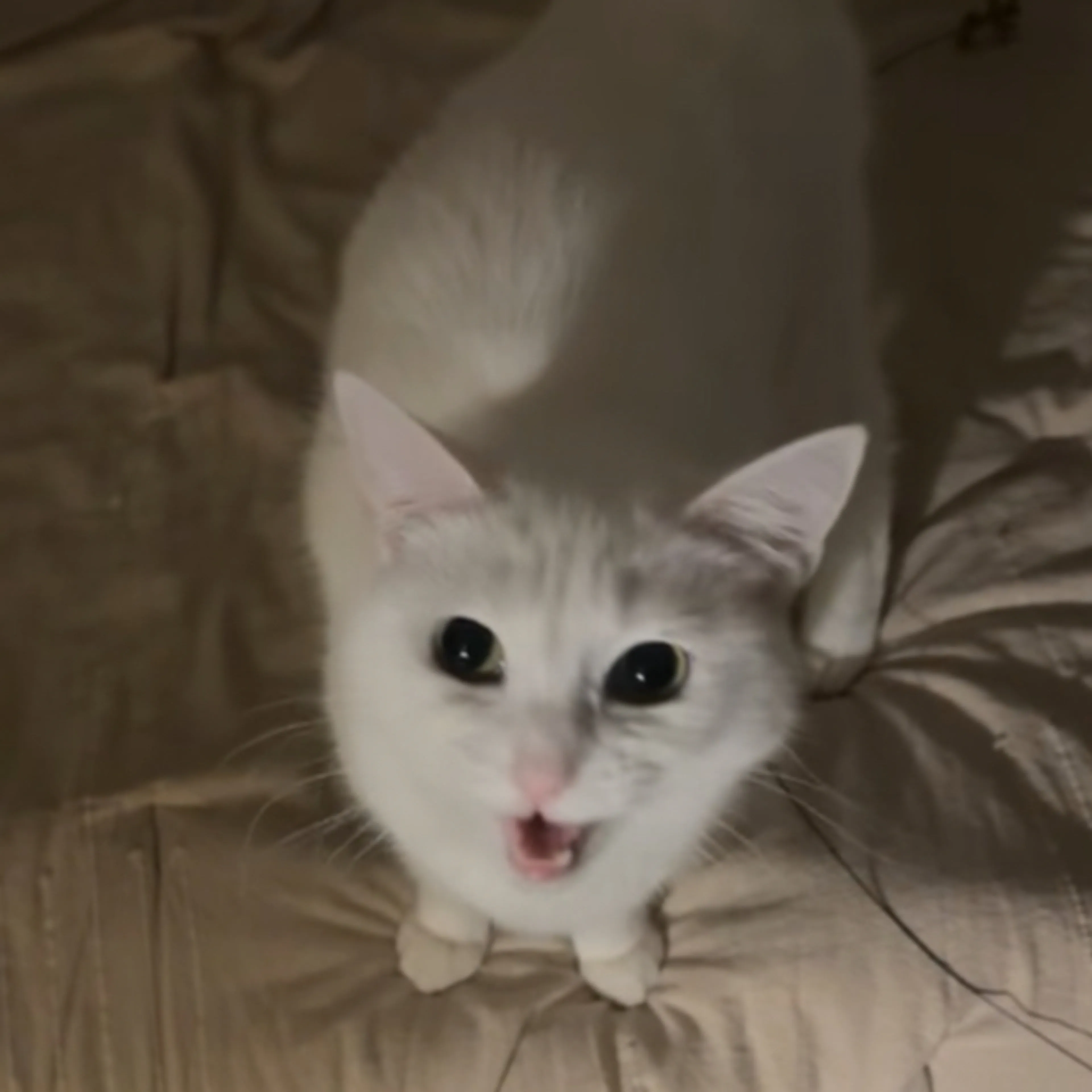 -3
