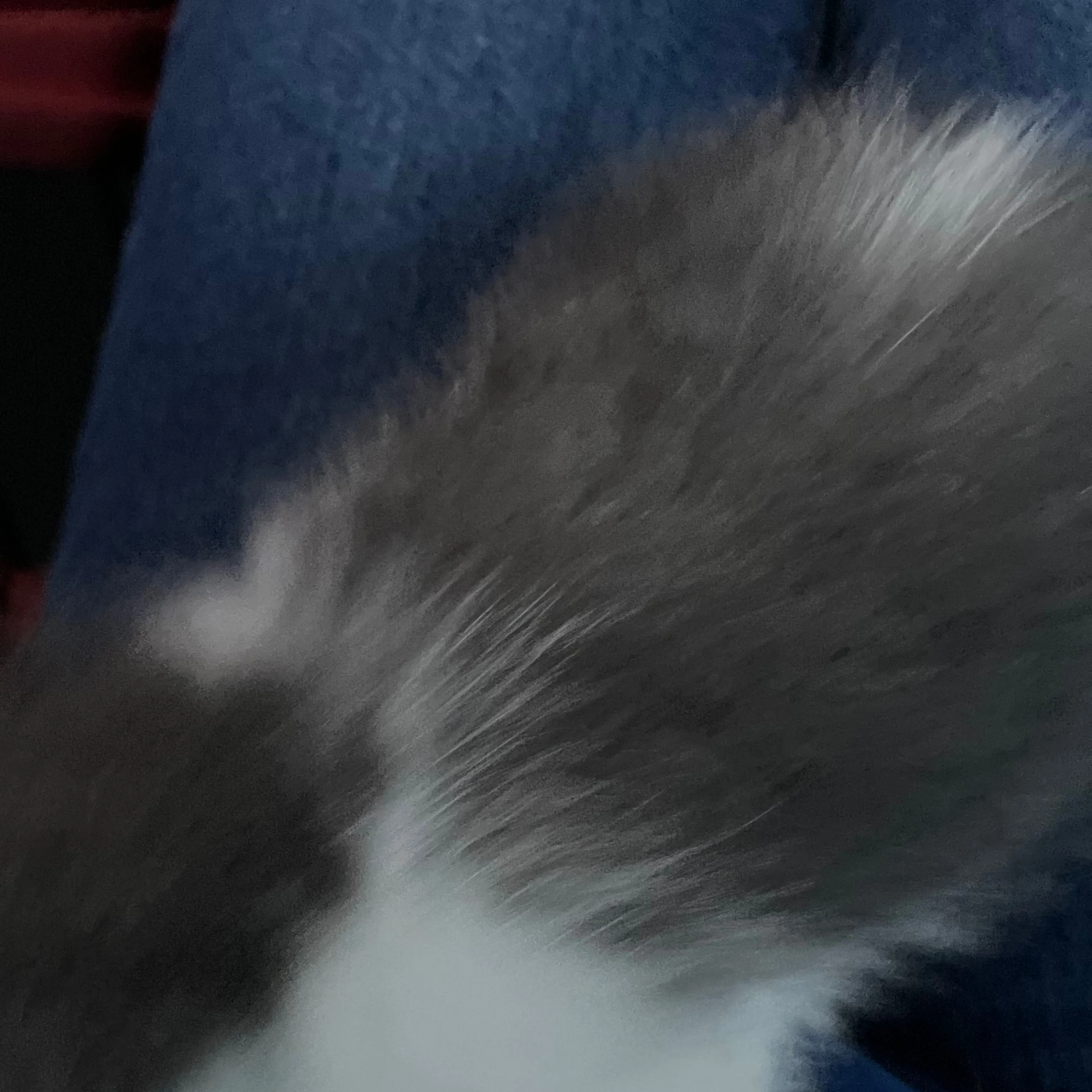-3