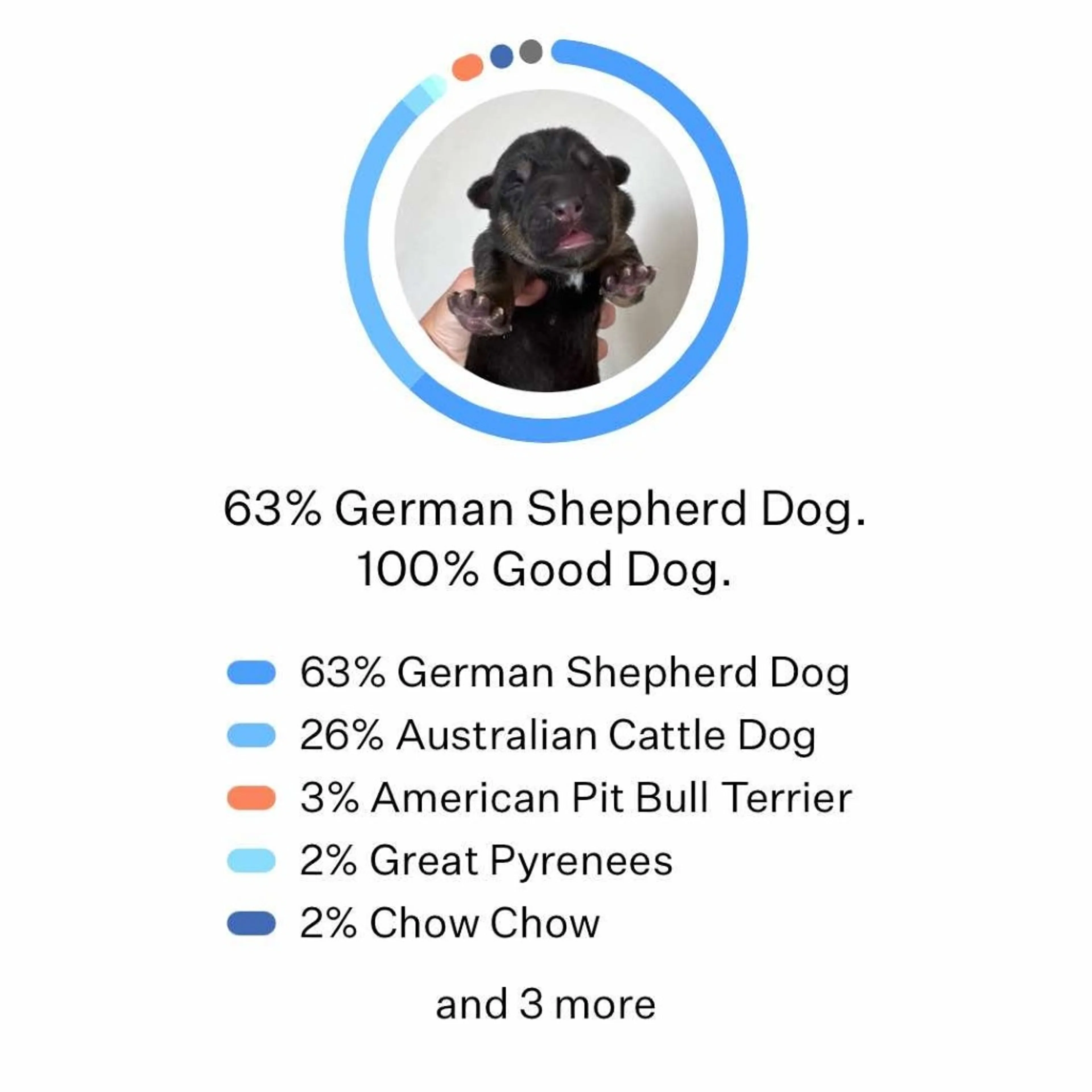 -4