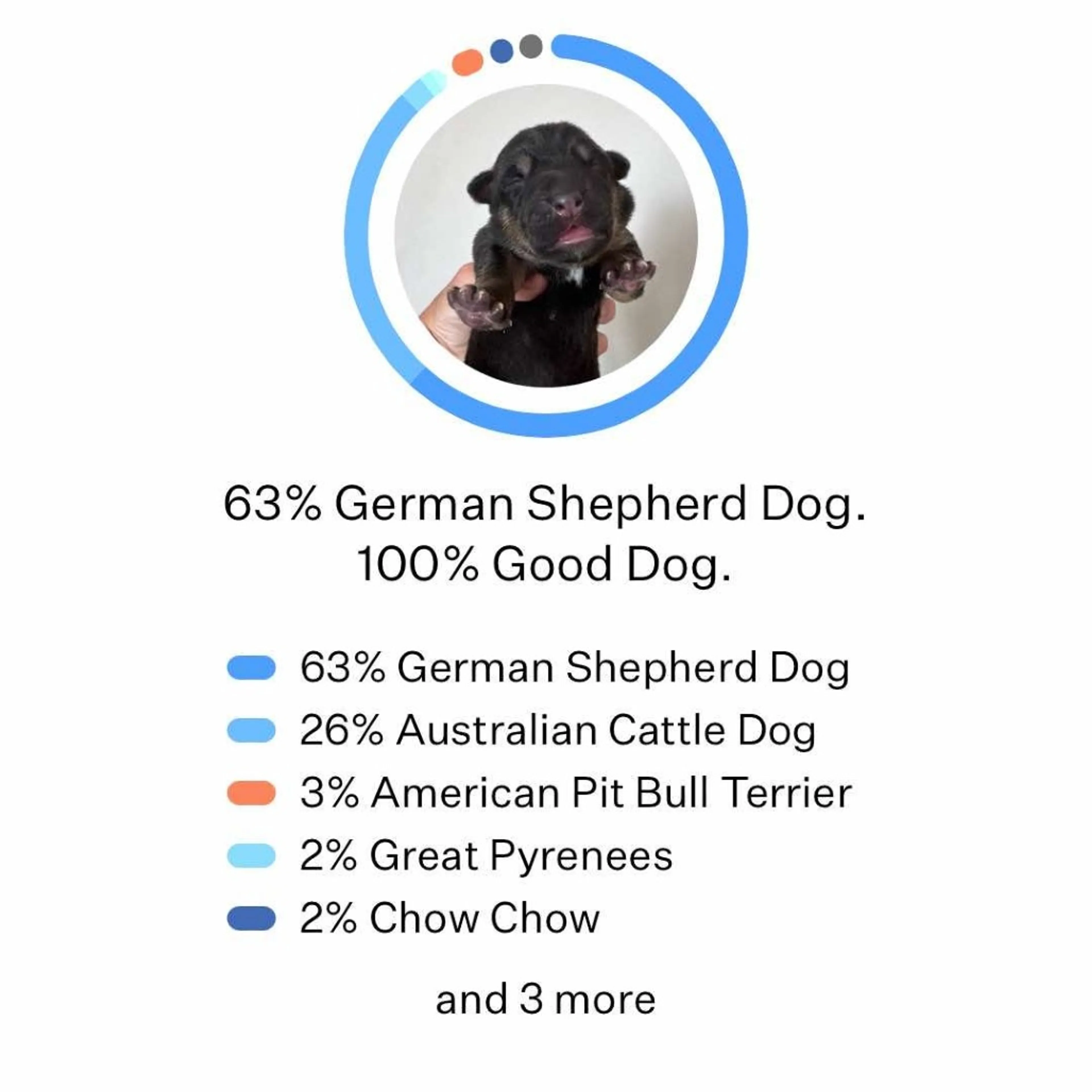 -4