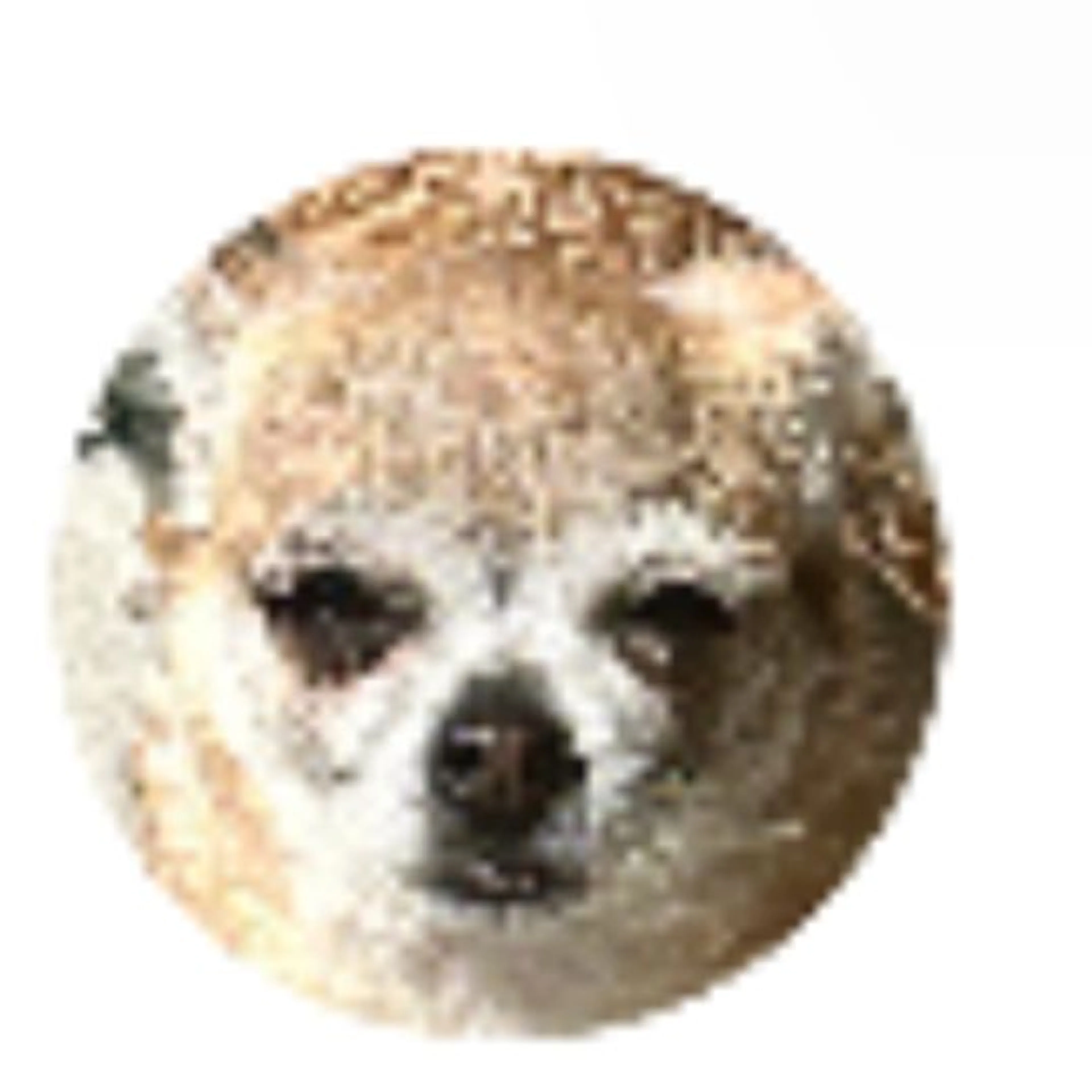 cdn image