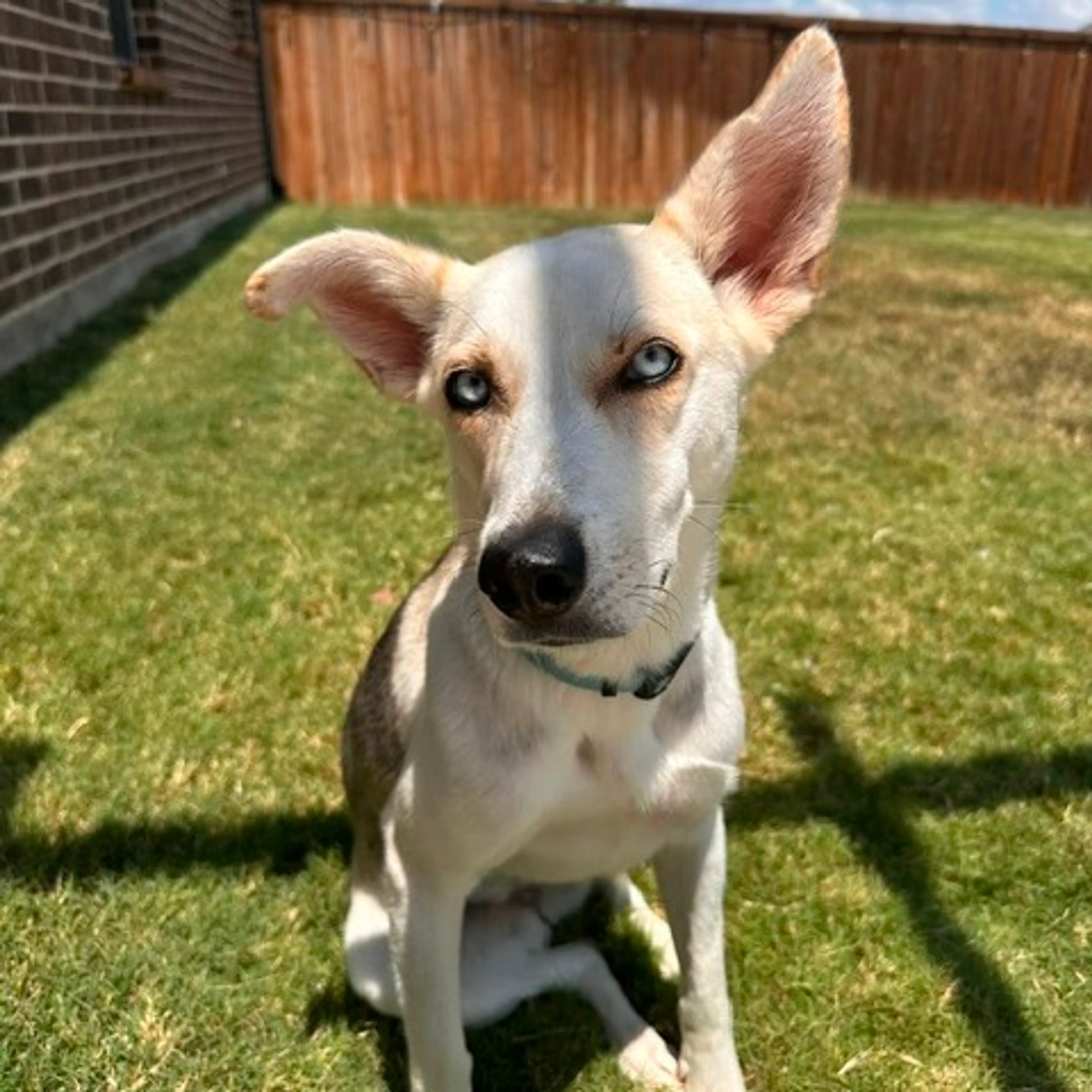 -0
