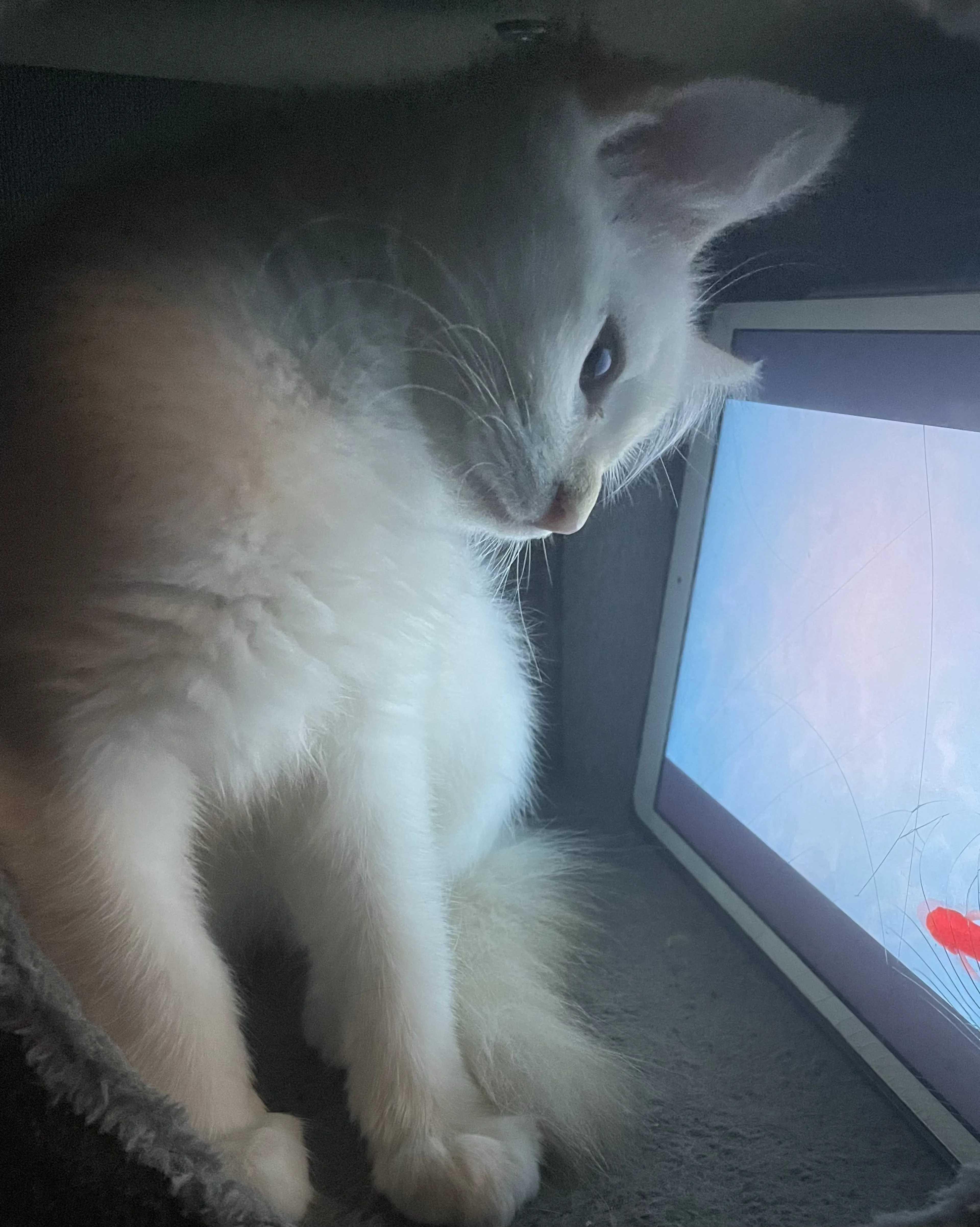 -3