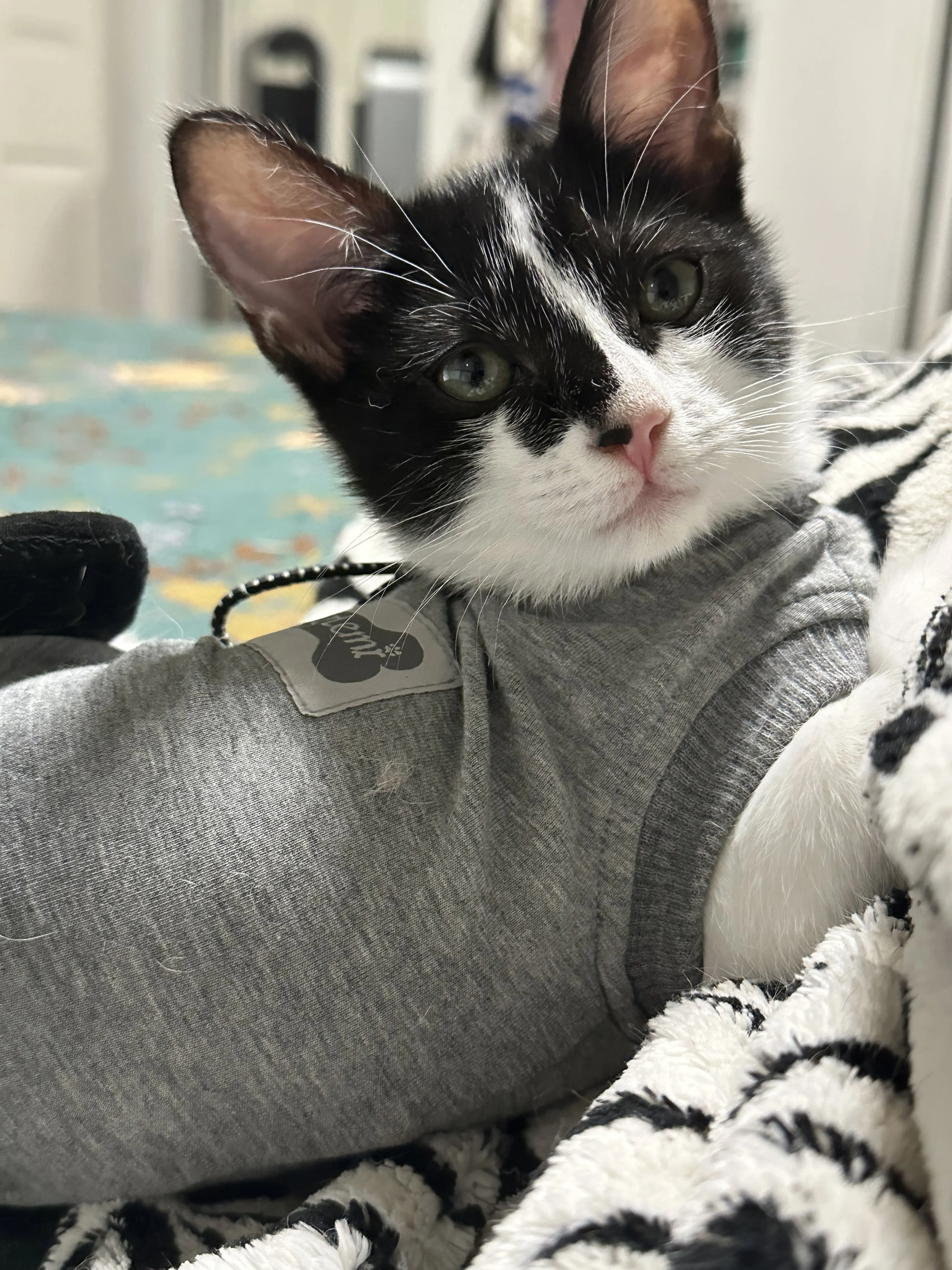 -1