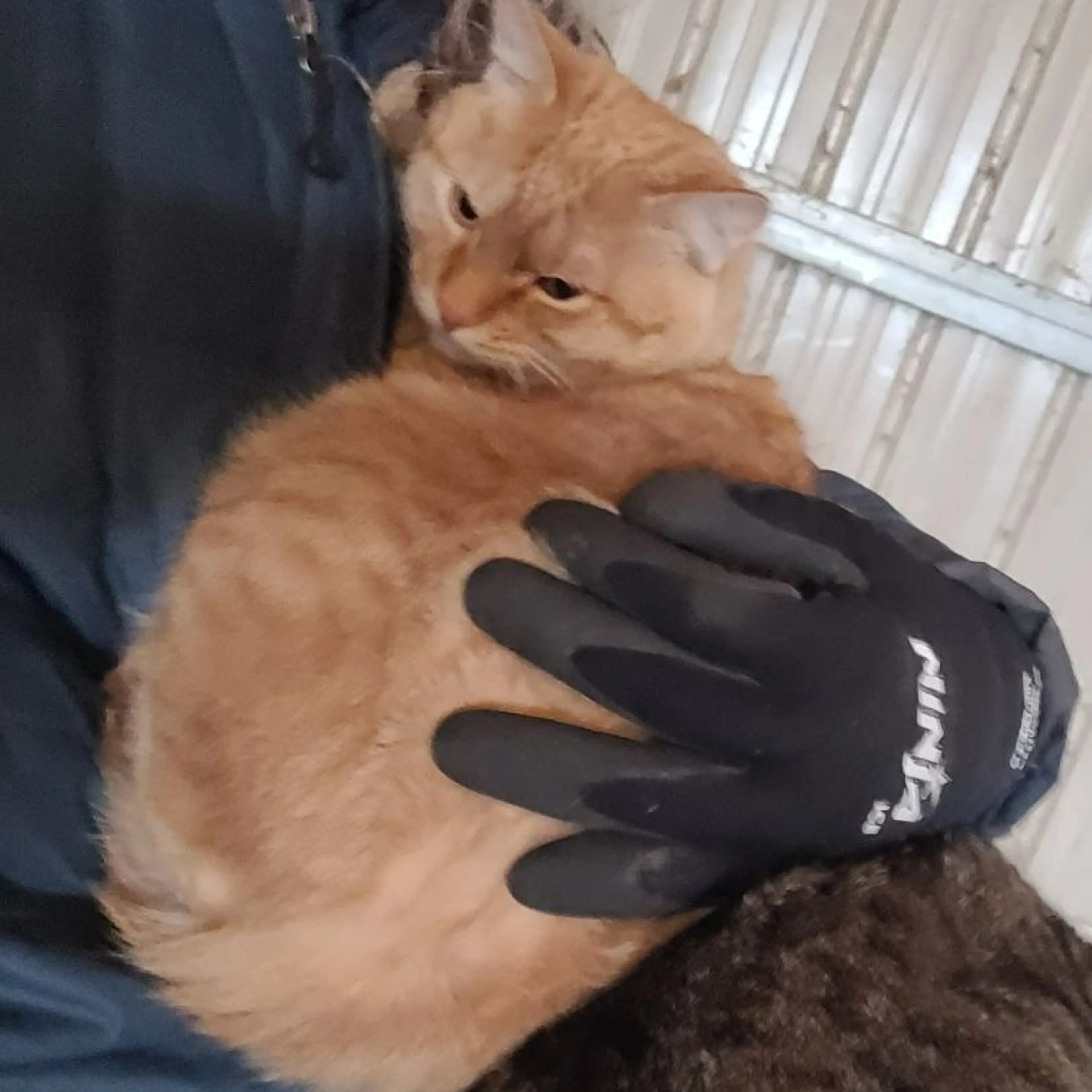 -1