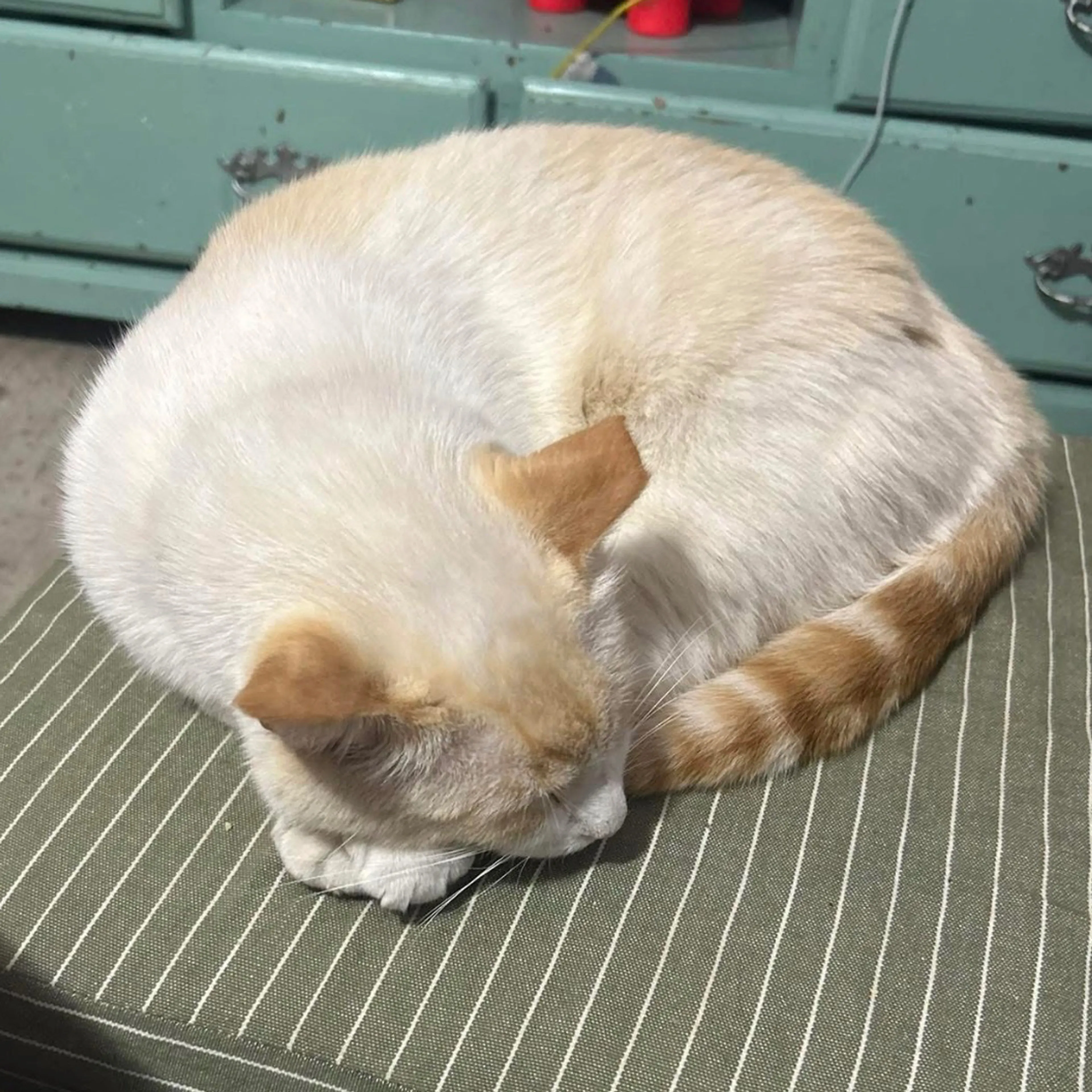 -1
