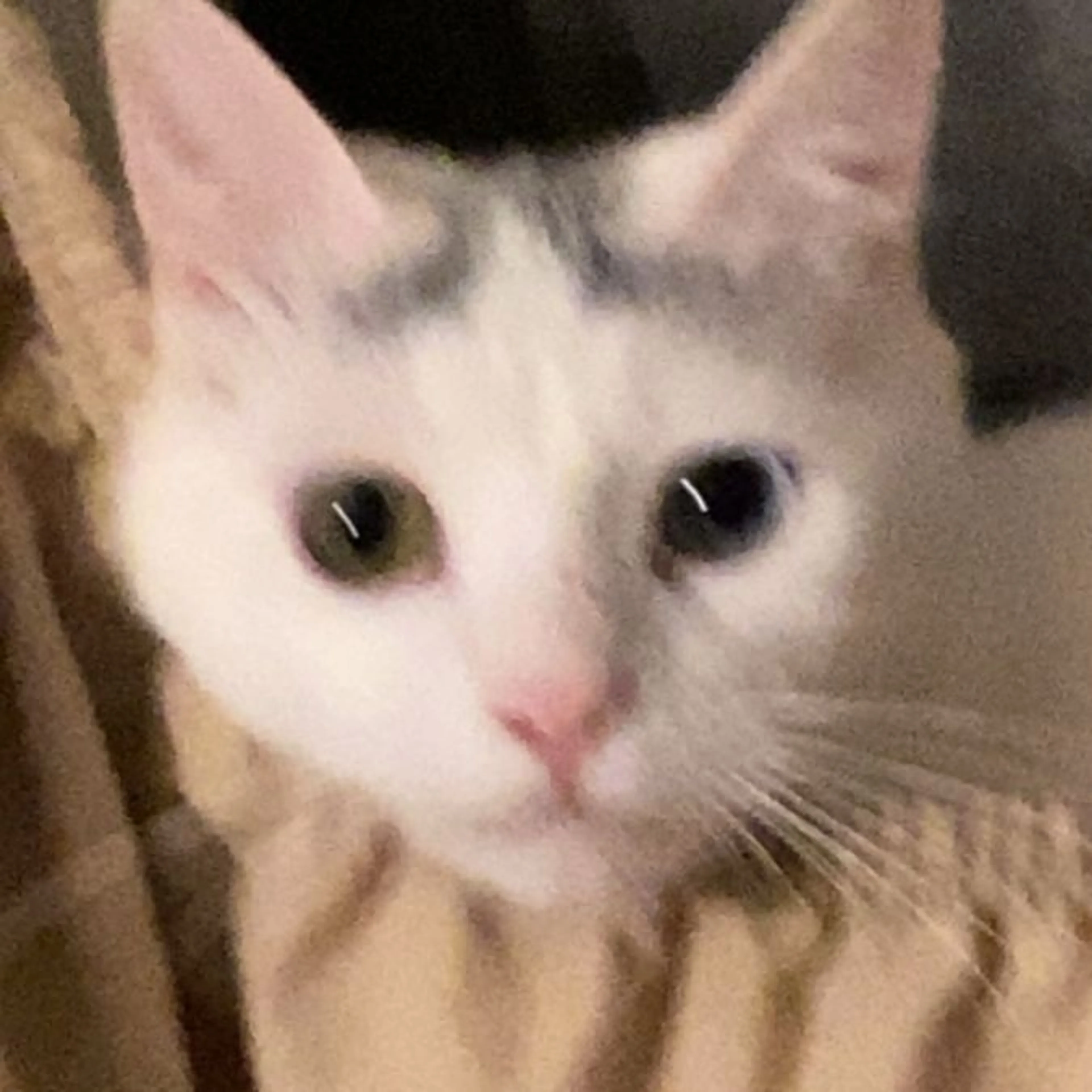 -0