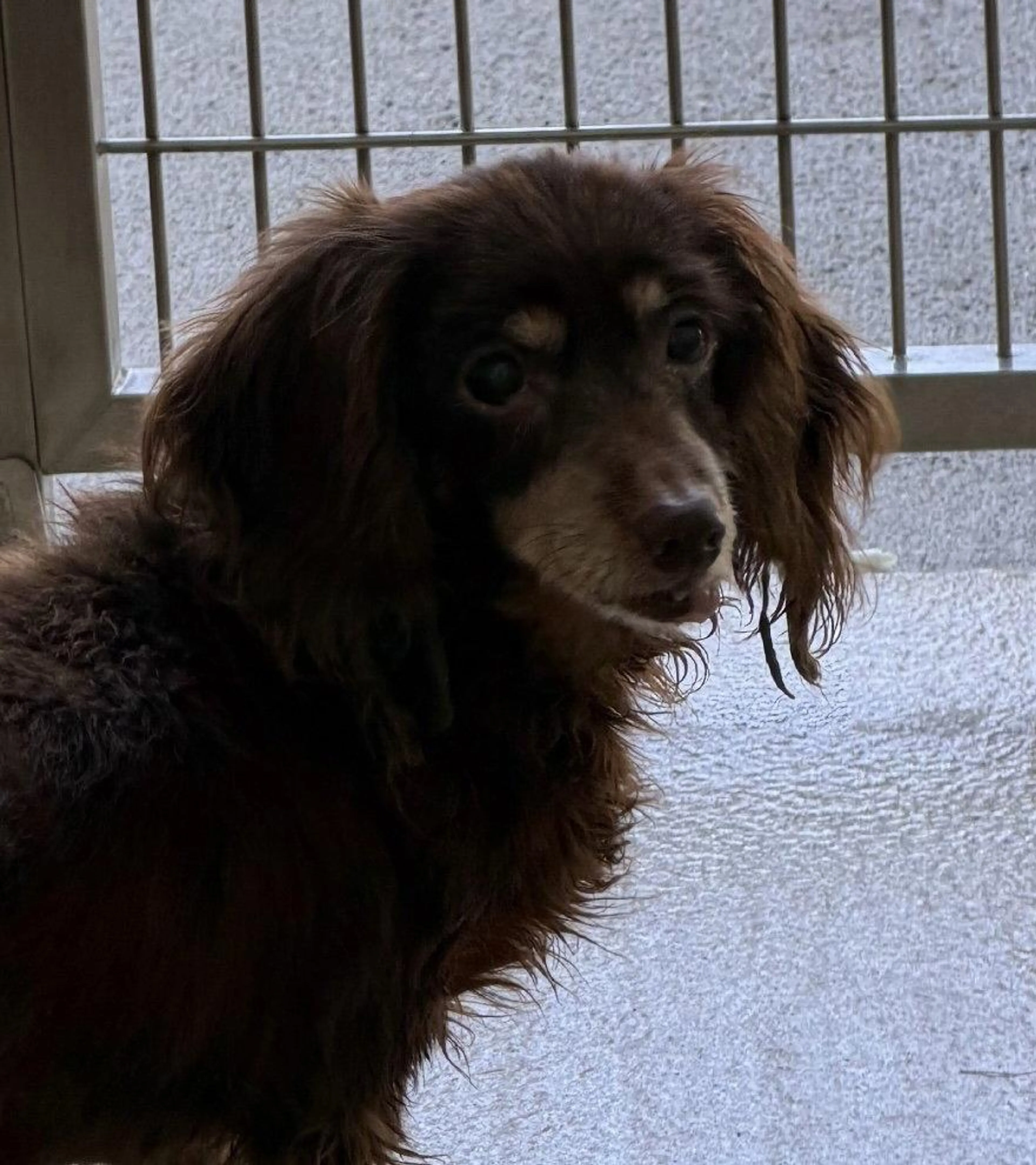 -0