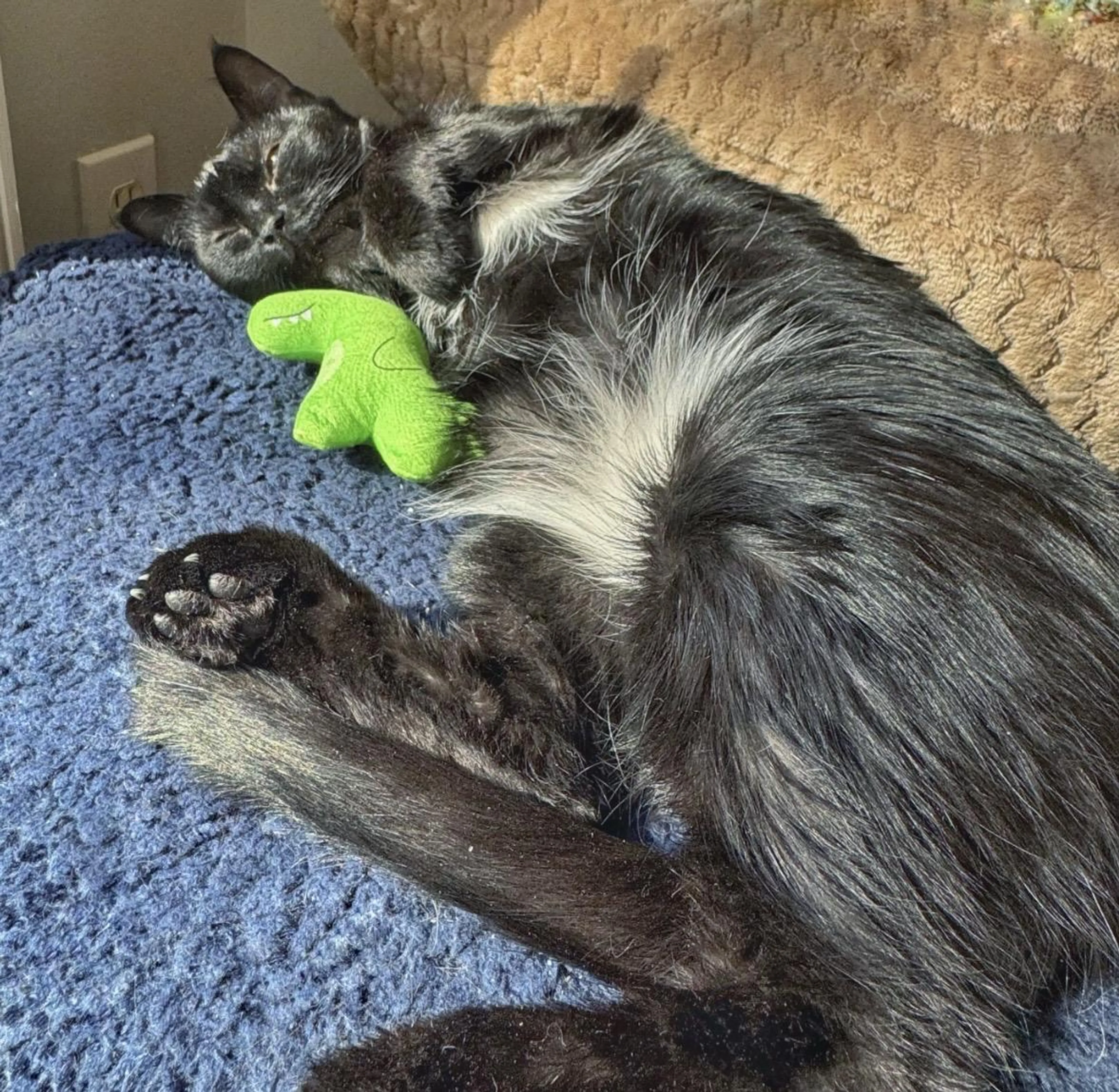 -3