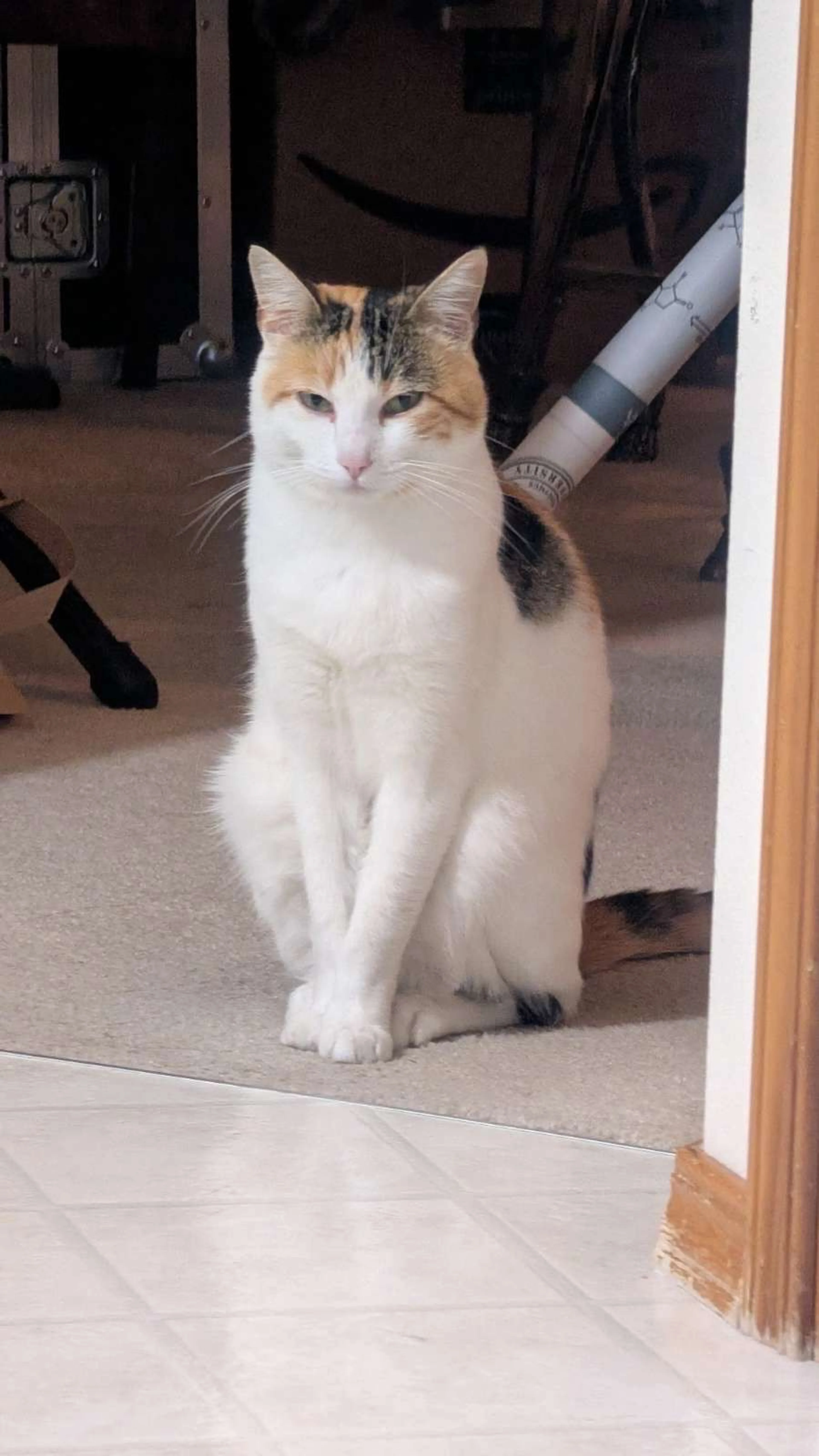 -0
