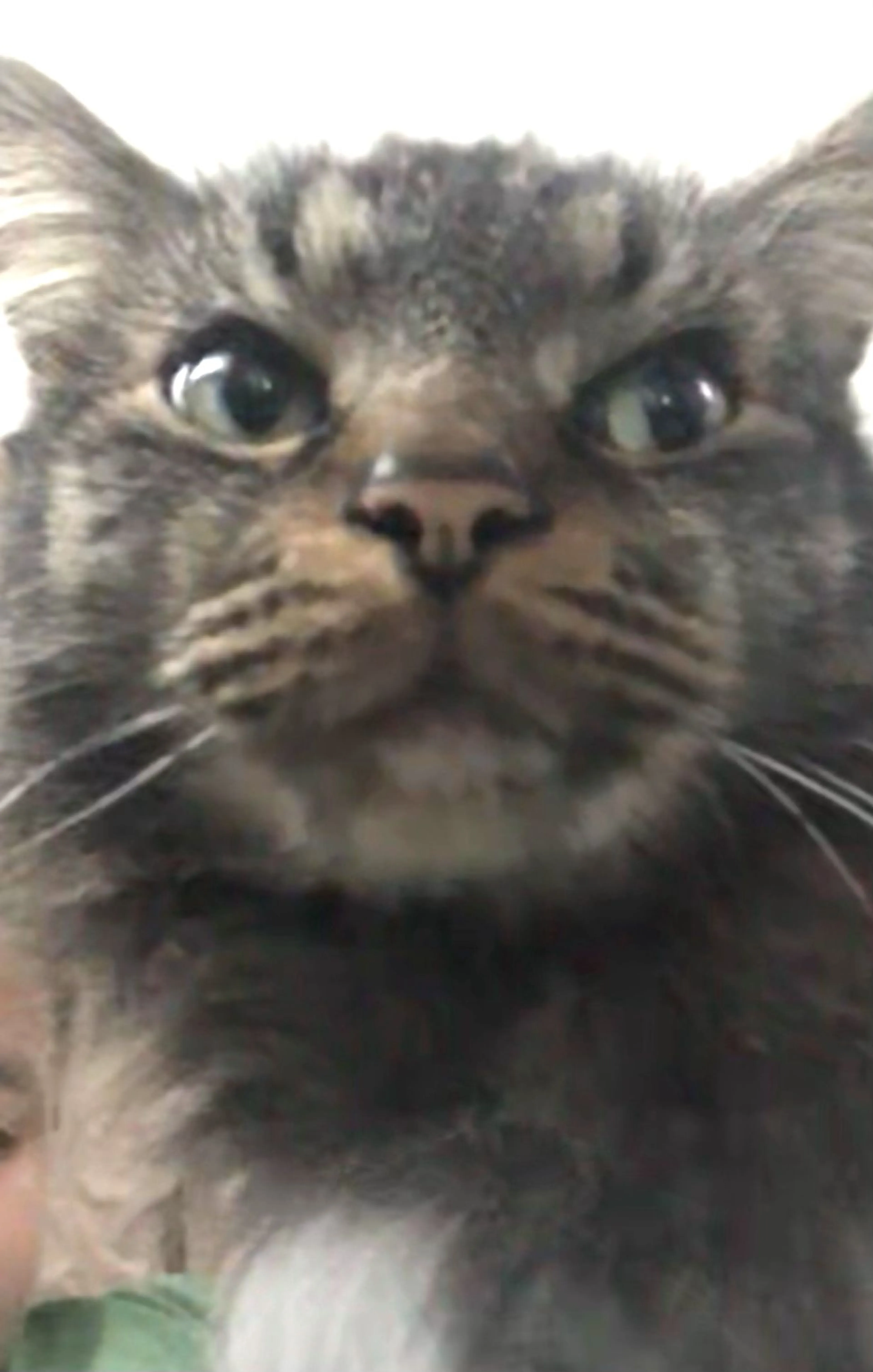 -1