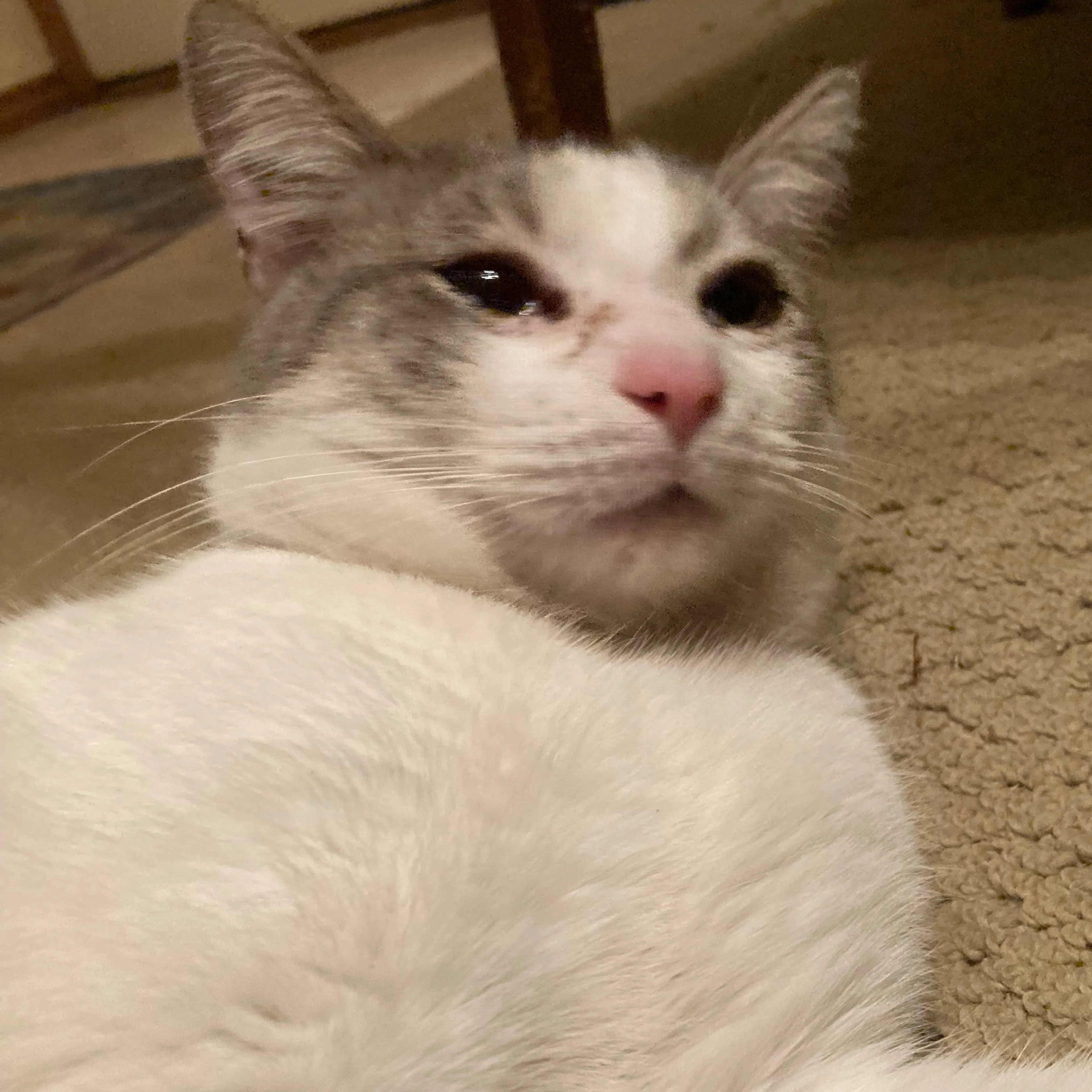 -2