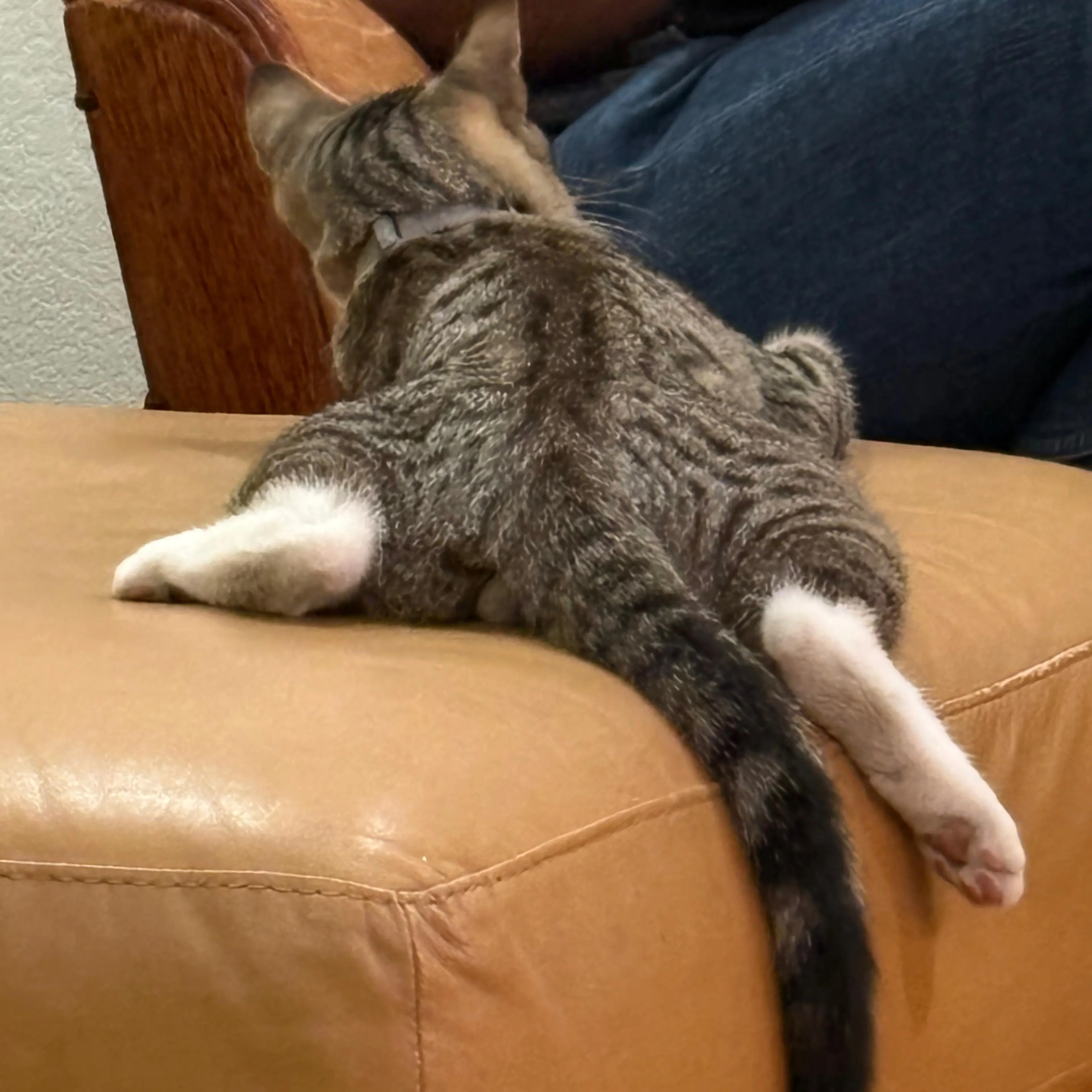 -1
