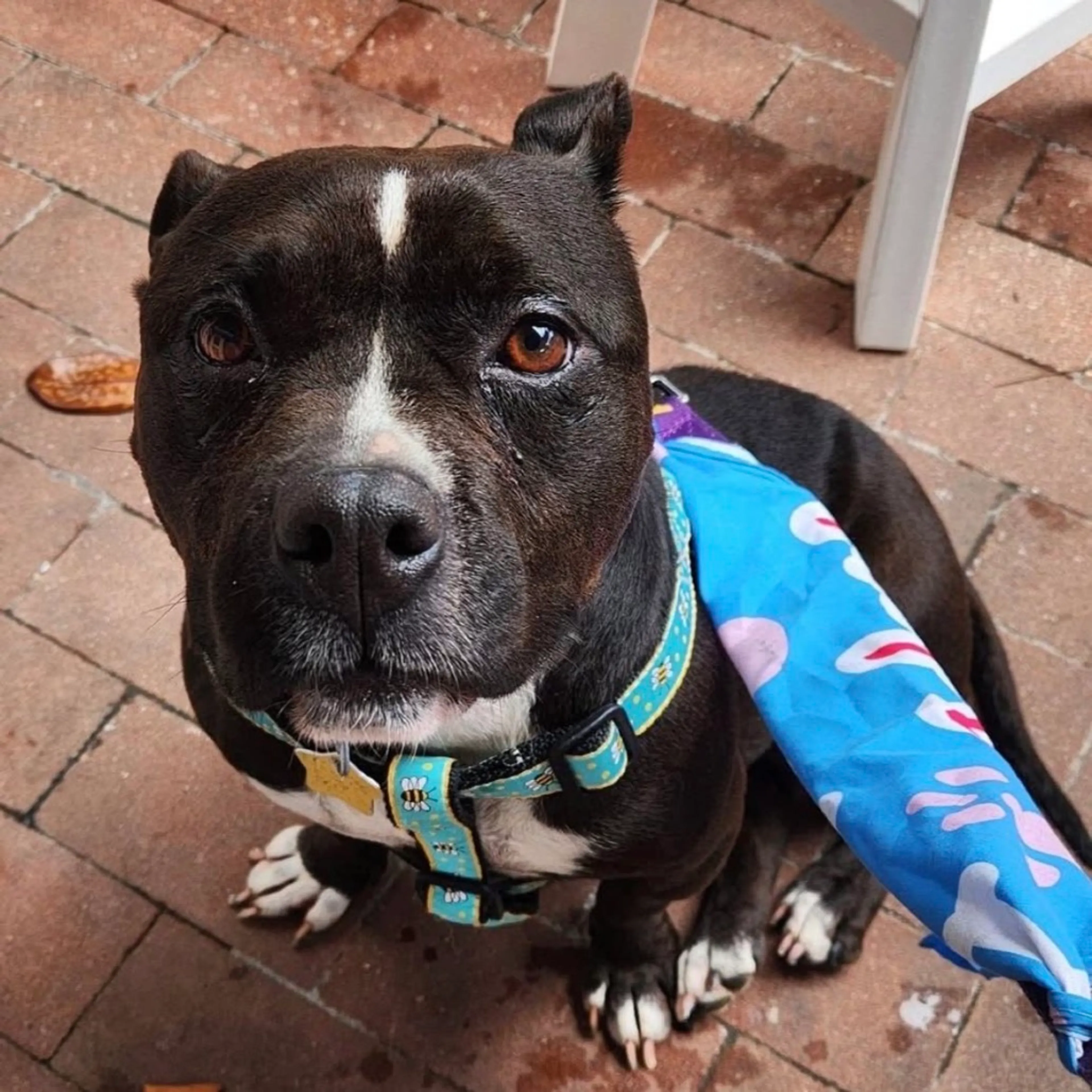 -5