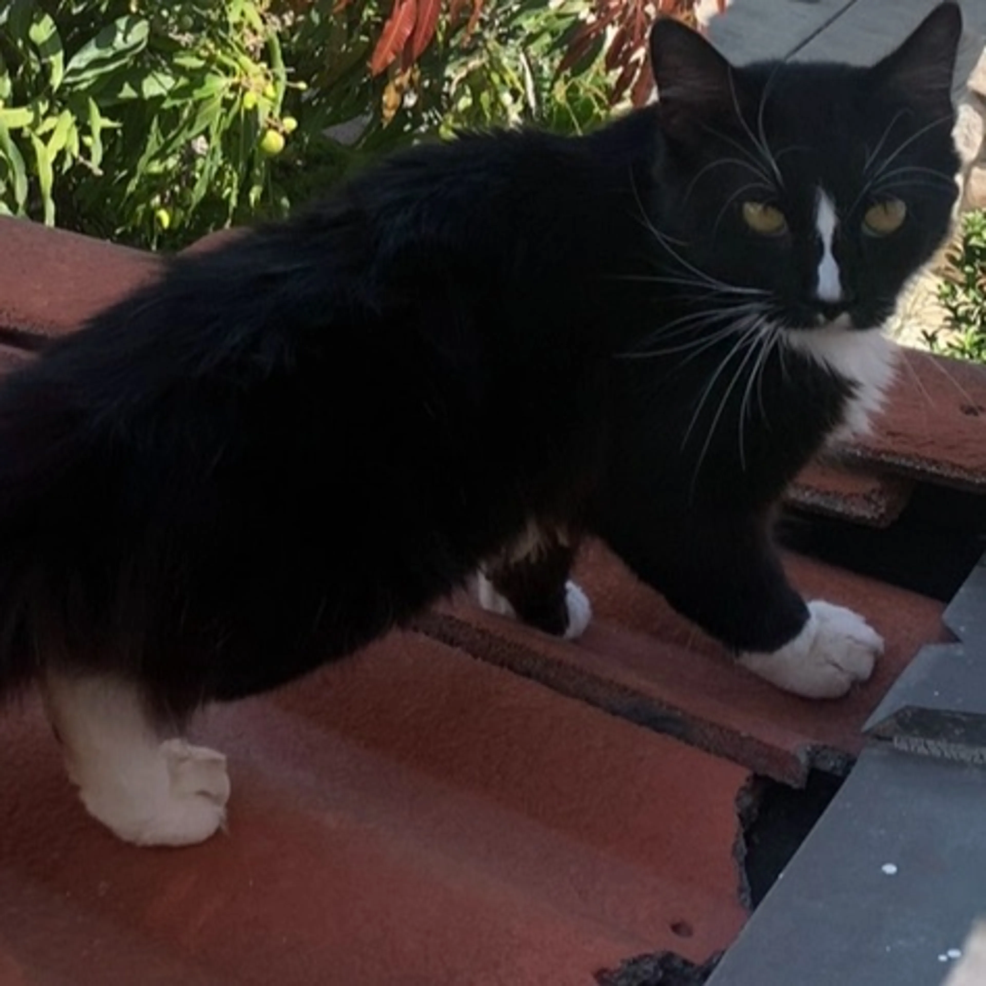 -0
