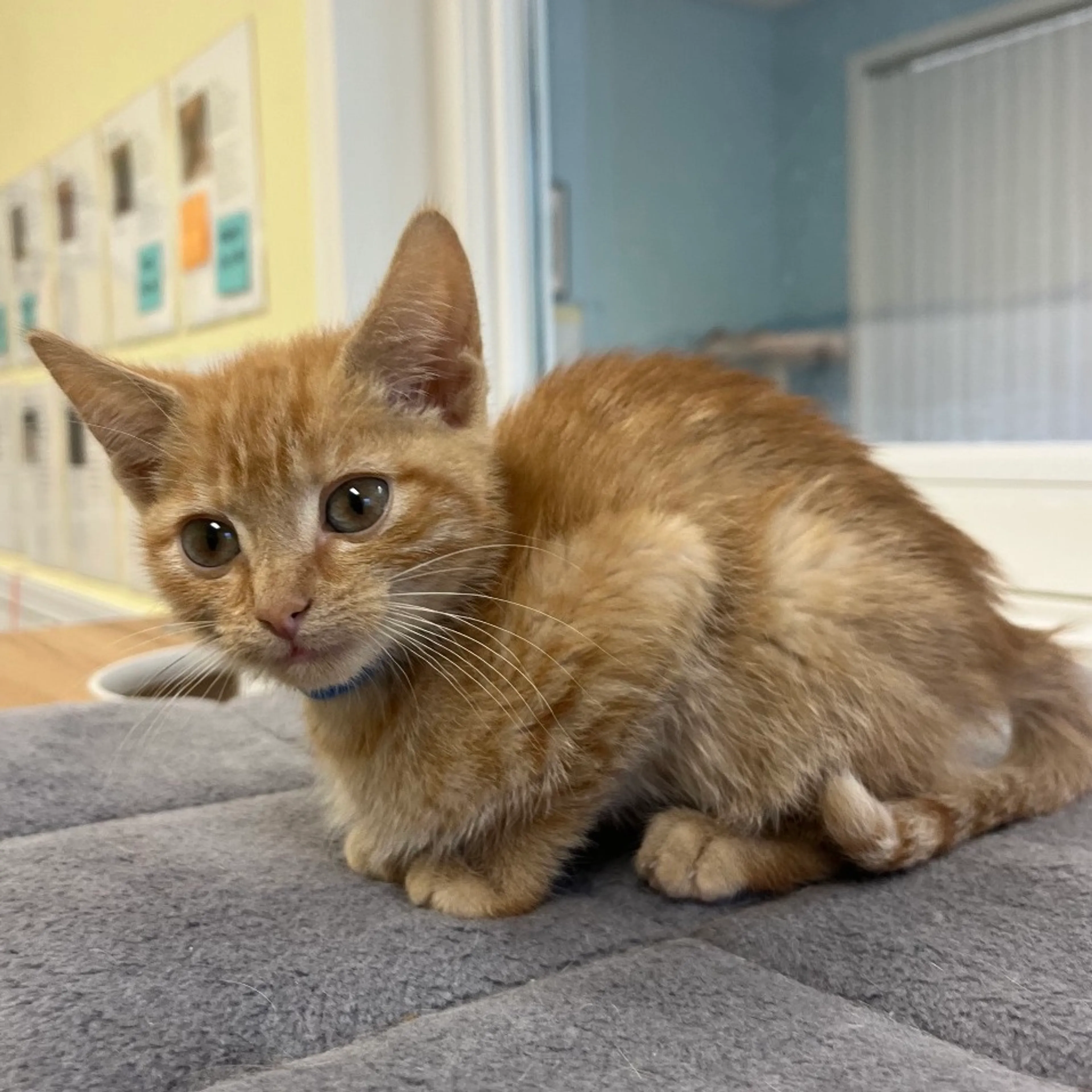 -2
