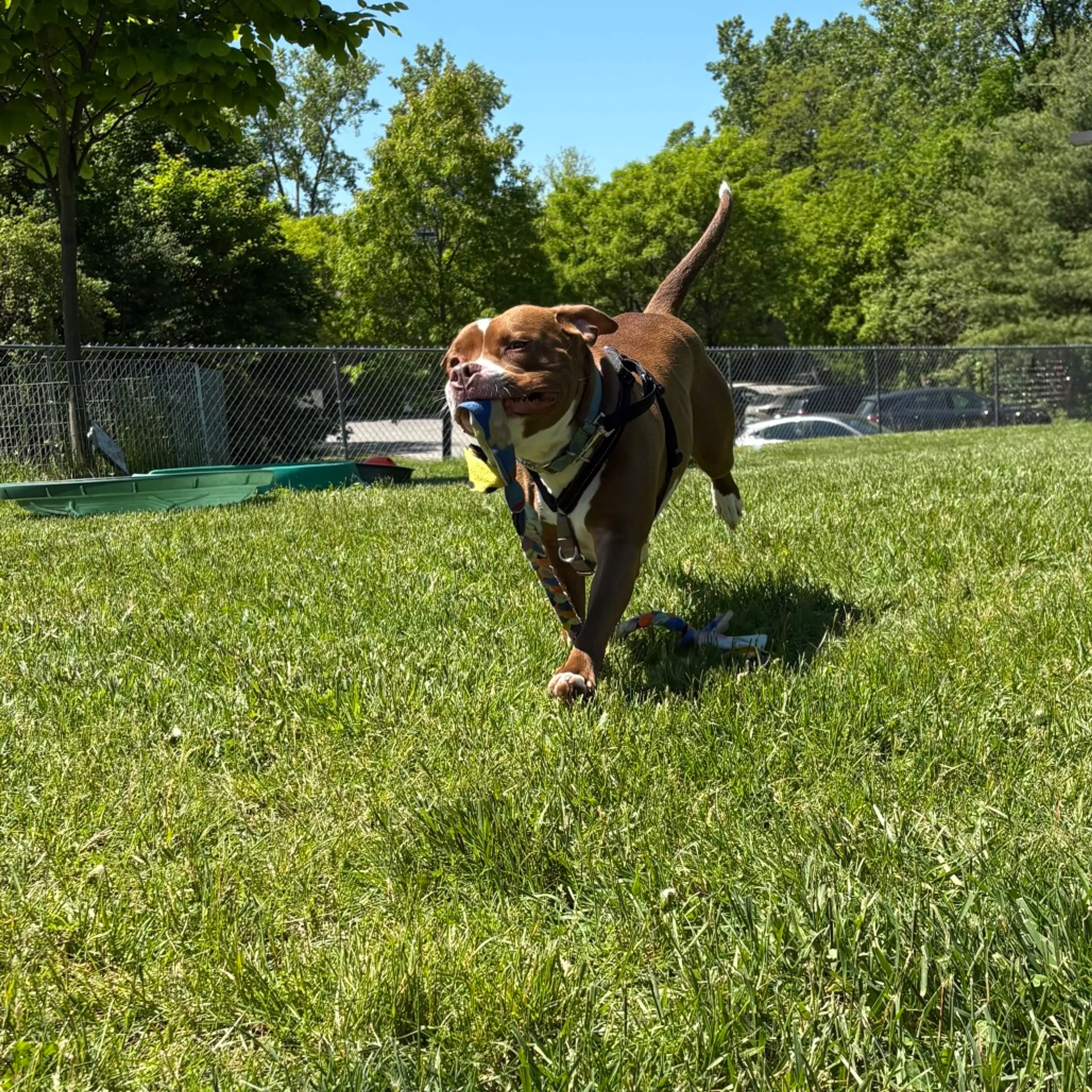-14